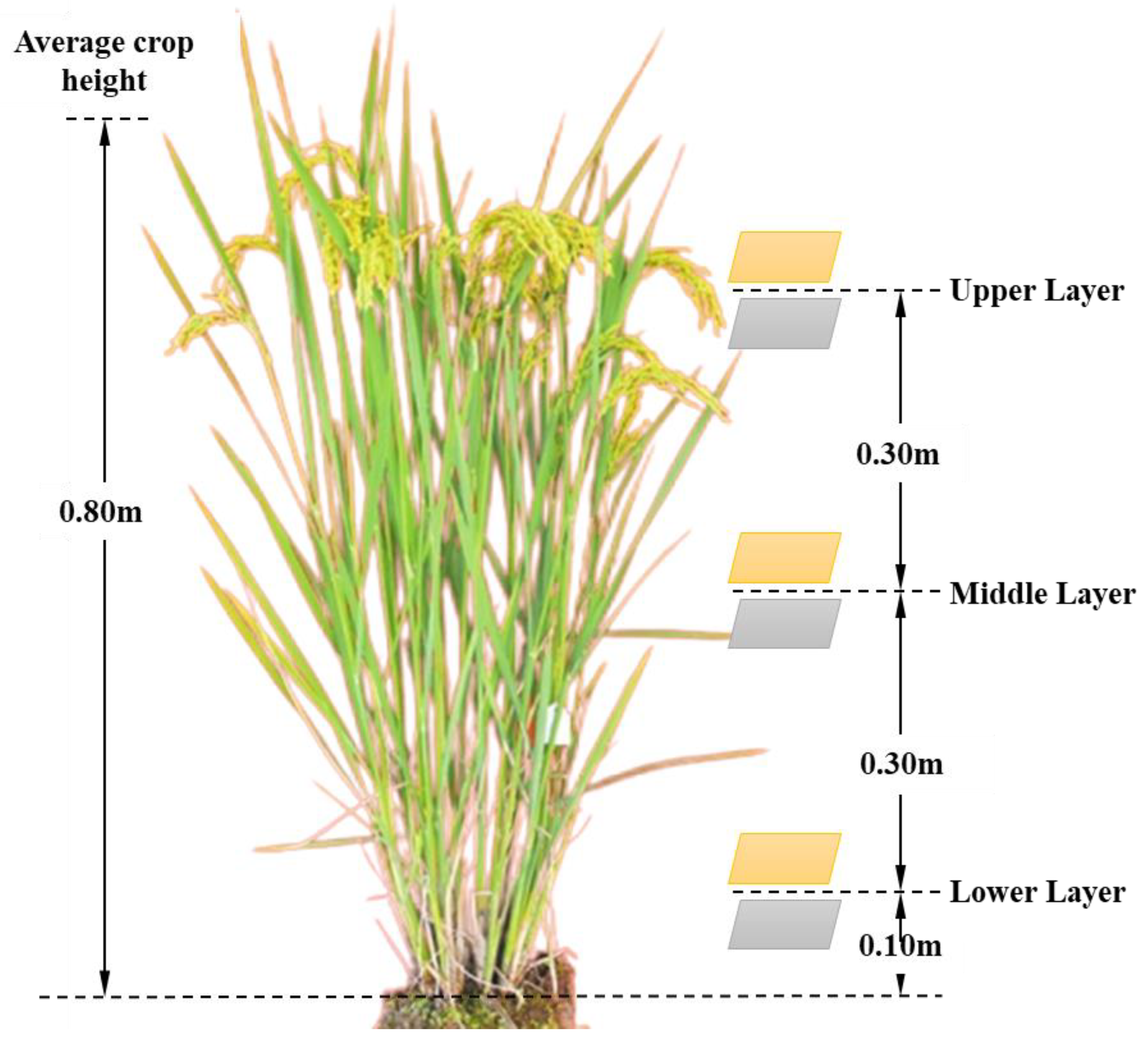 Agriculture 13 00094 g003
