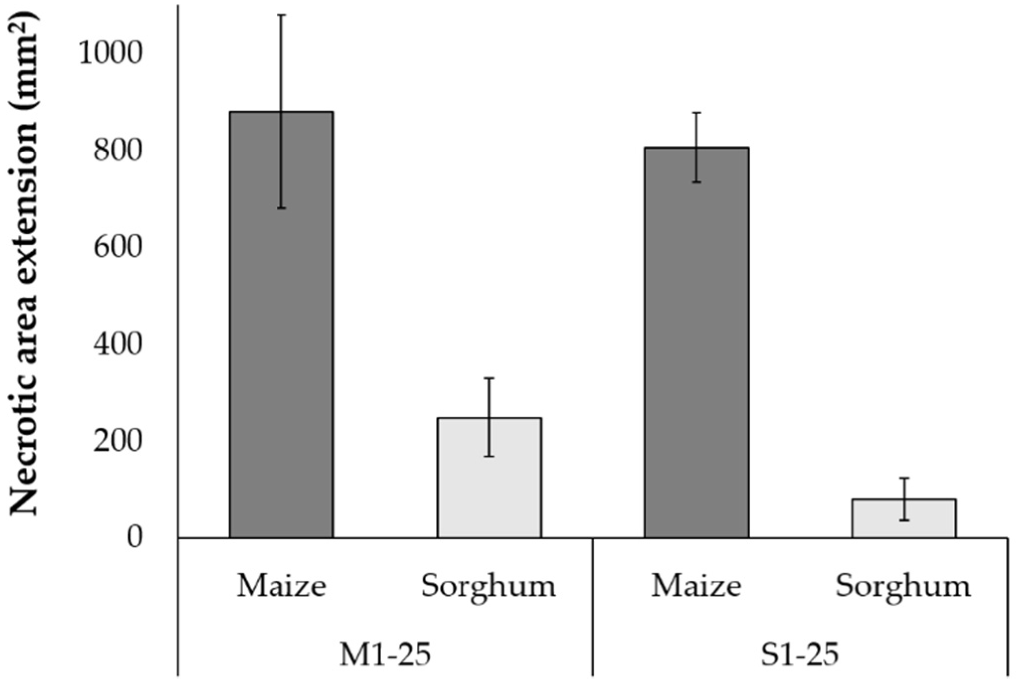 Agriculture 13 00105 g002 Agriculture 13 00105 g002