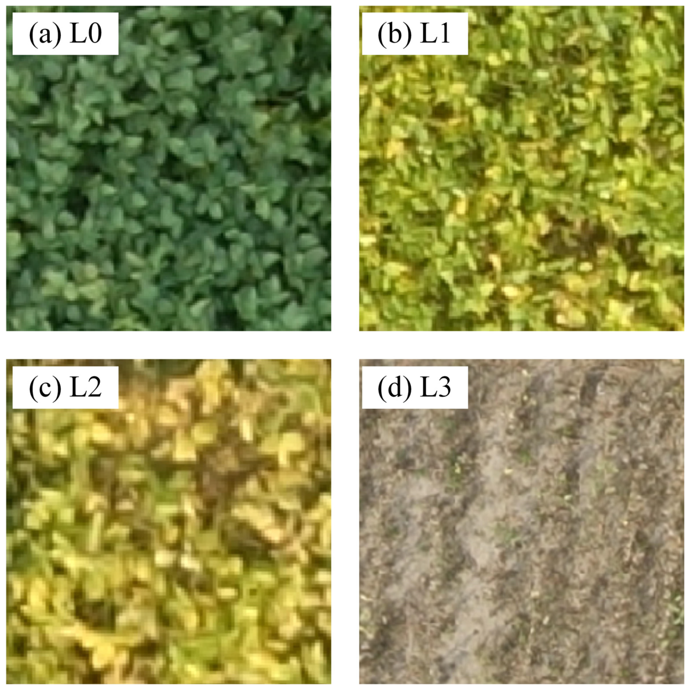 Agriculture 13 00110 g002