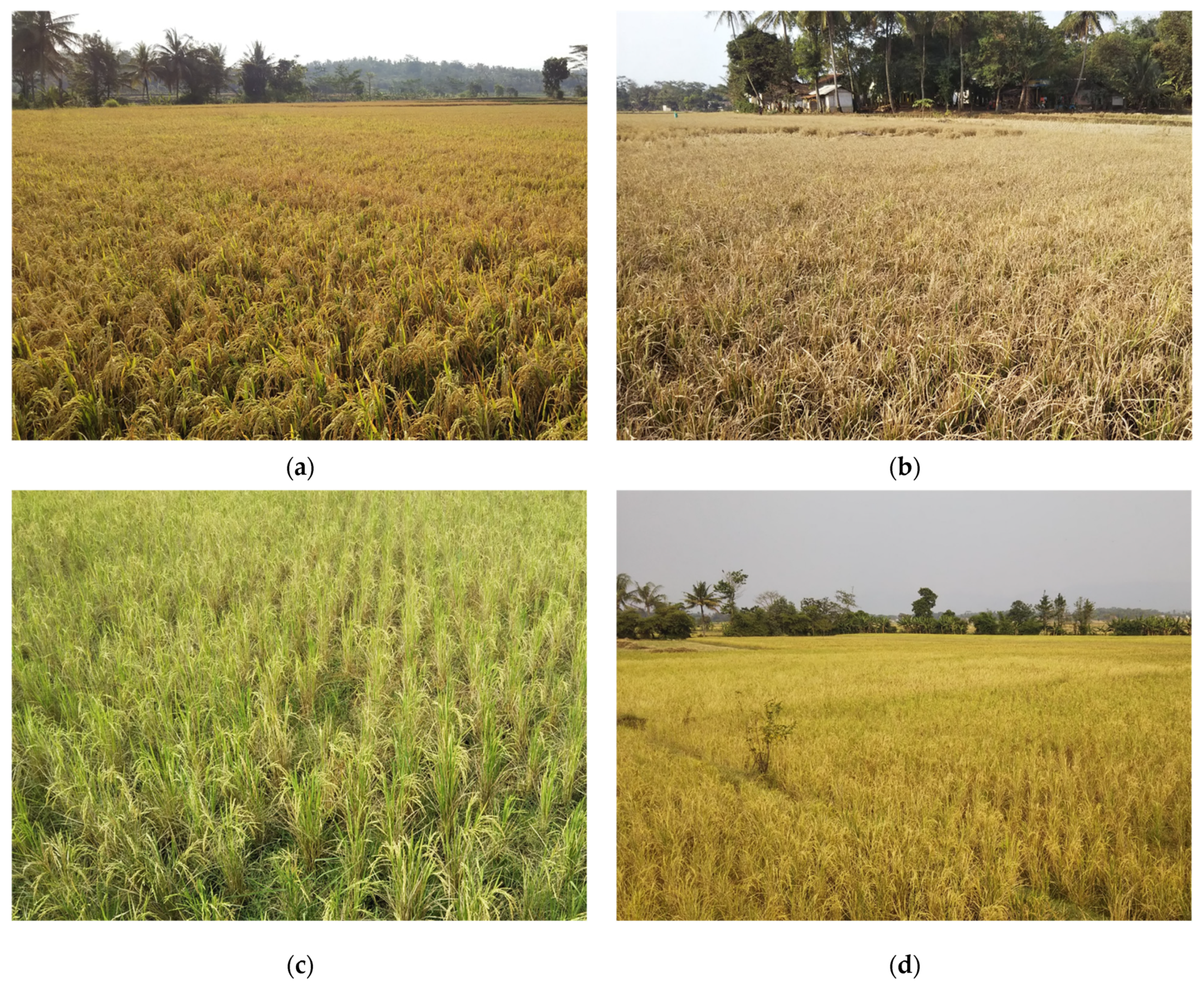 Agriculture 13 00113 g002 Agriculture 13 00113 g002