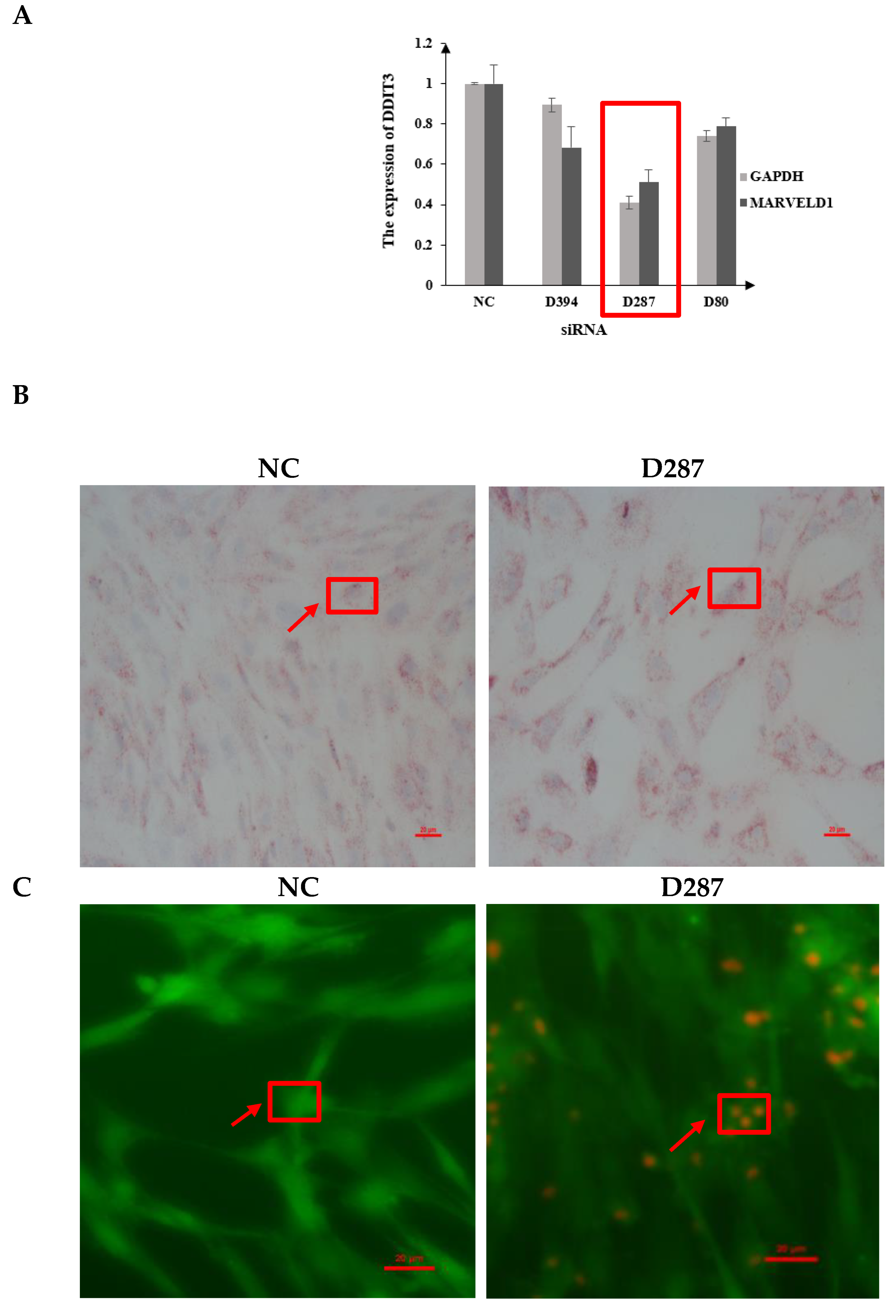 Agriculture 13 00117 g002 Agriculture 13 00117 g002