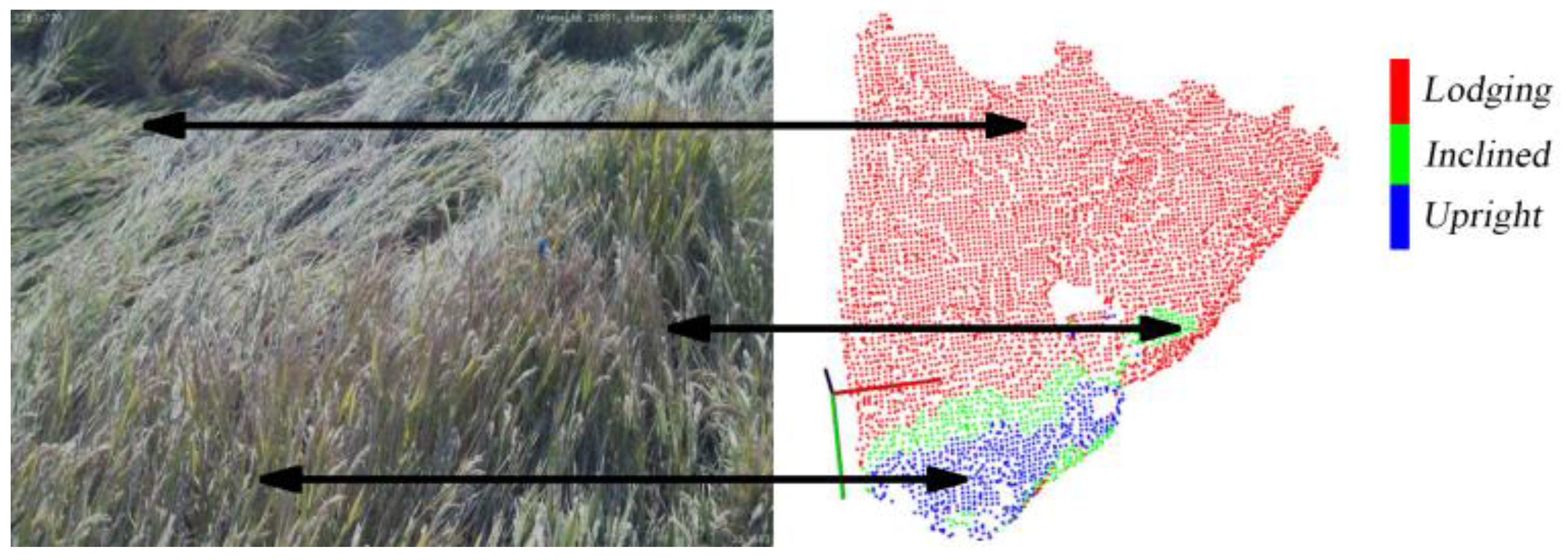 Agriculture 13 00120 g013 Agriculture 13 00120 g013