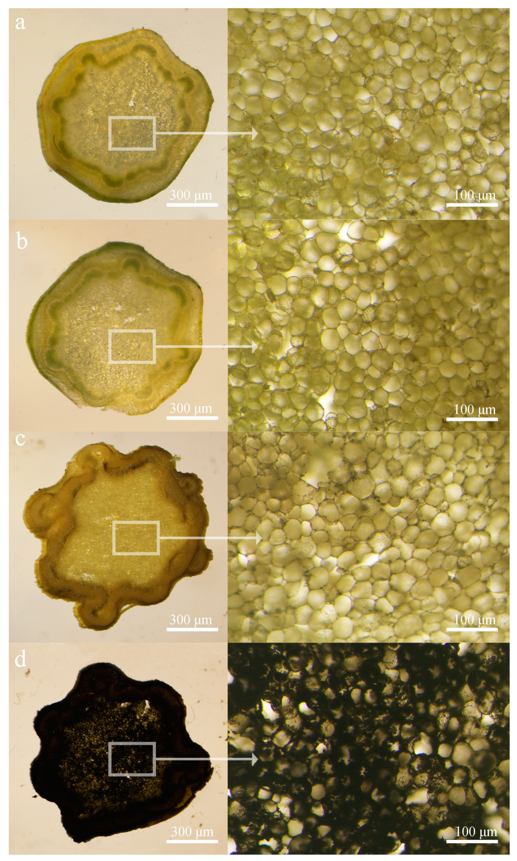 Agriculture 13 00122 g004 Agriculture 13 00122 g004