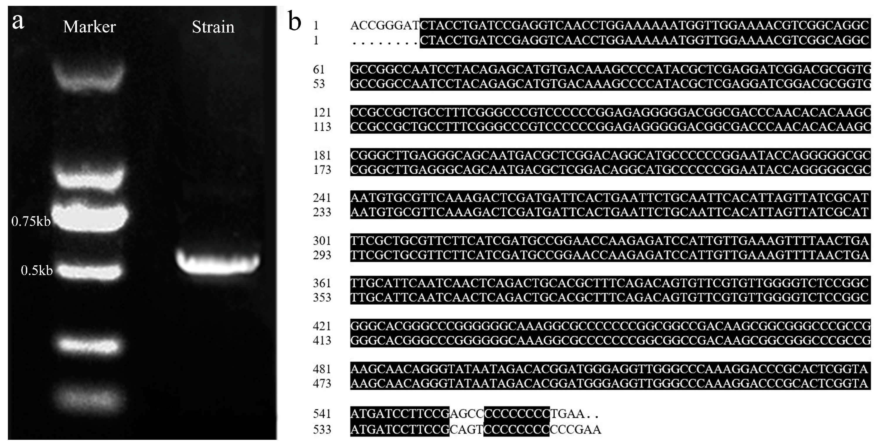 Agriculture 13 00122 g006 Agriculture 13 00122 g006