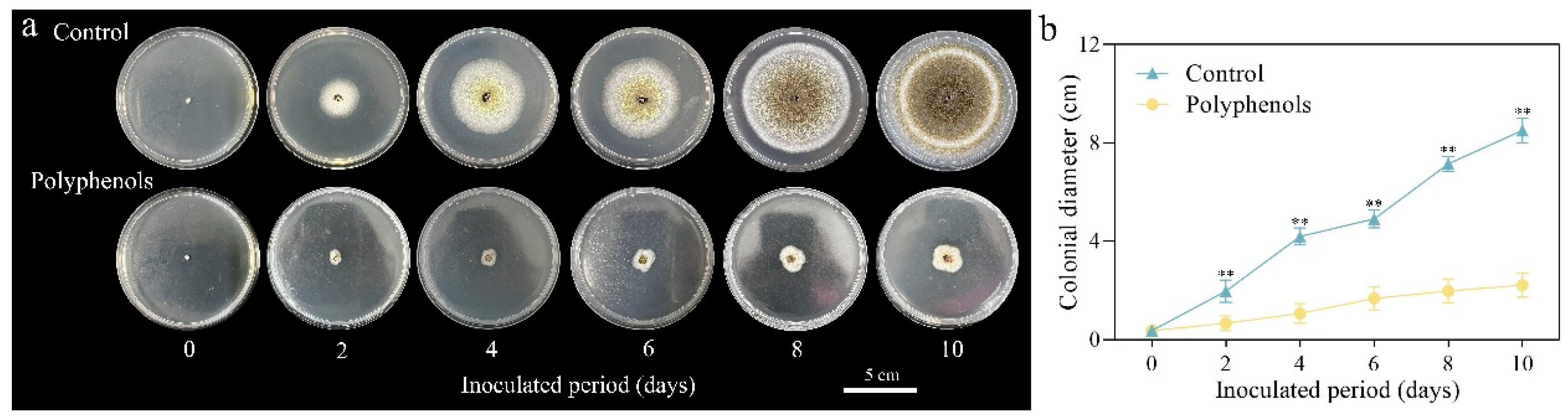 Agriculture 13 00122 g007 Agriculture 13 00122 g007