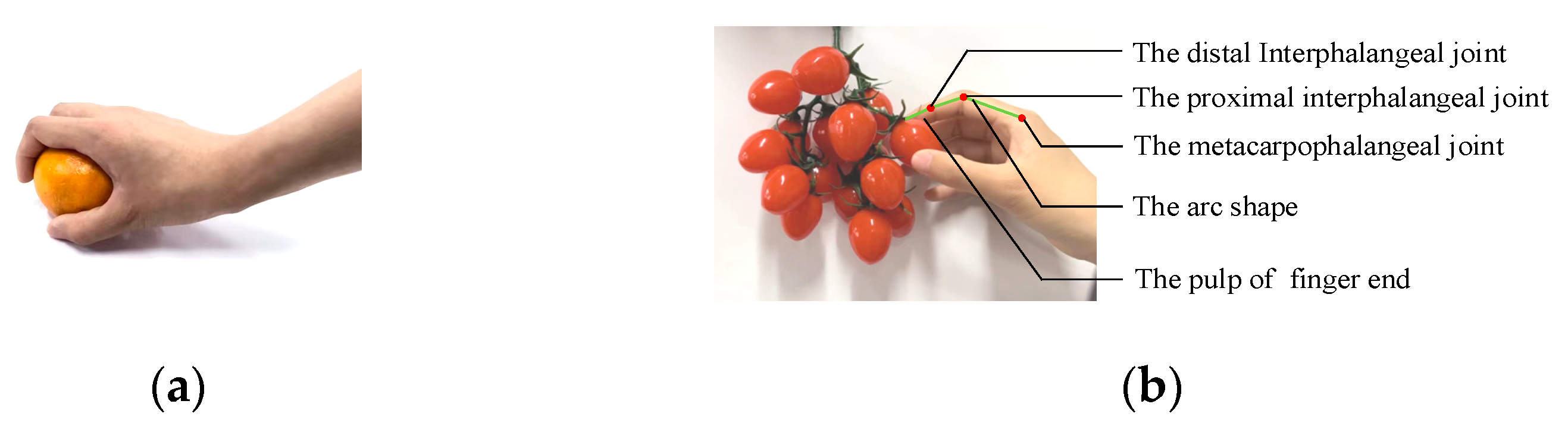 Agriculture 13 00123 g001