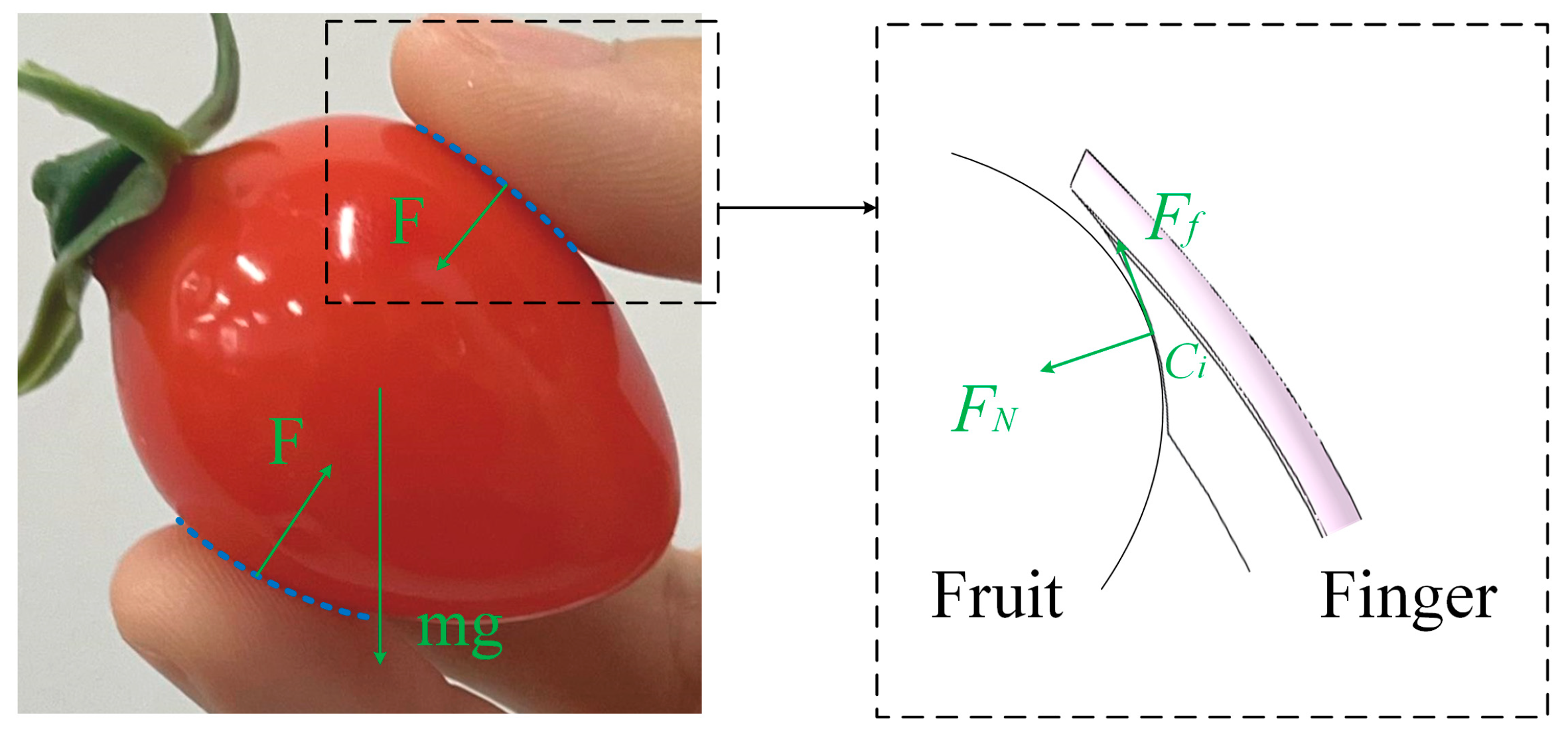 Agriculture 13 00123 g007