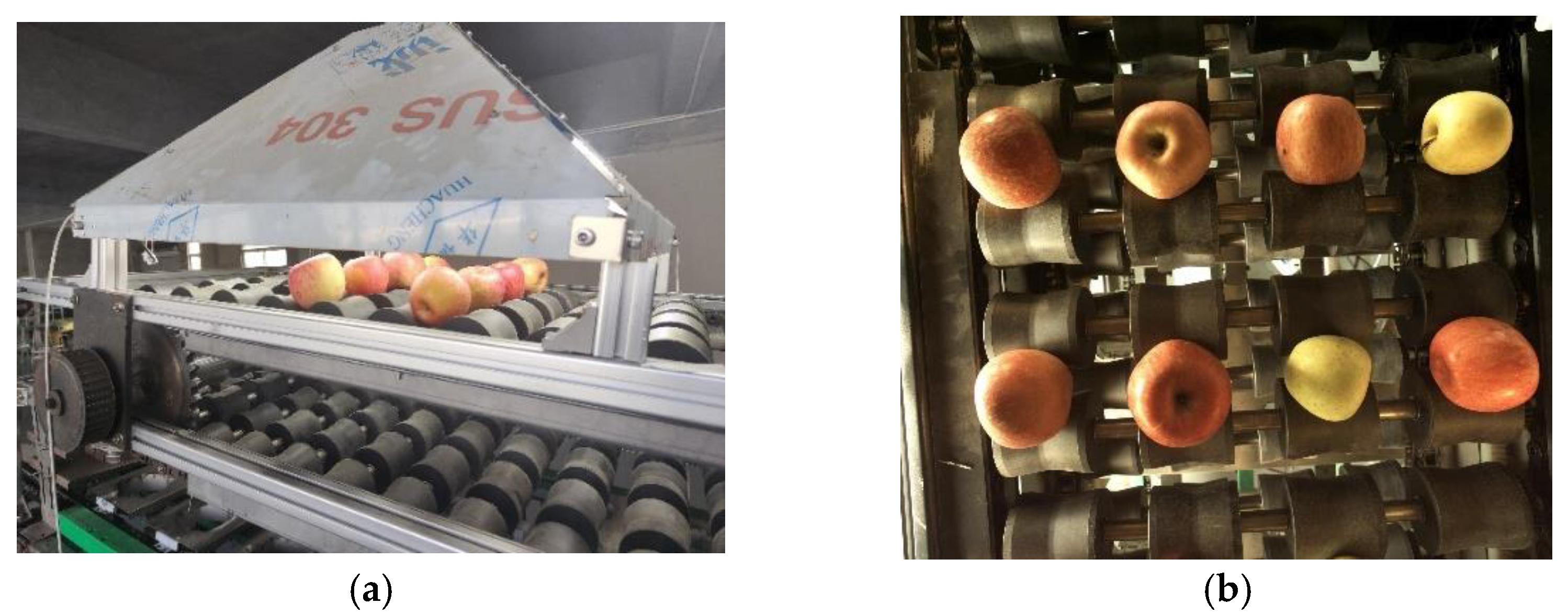 Agriculture 13 00124 g006