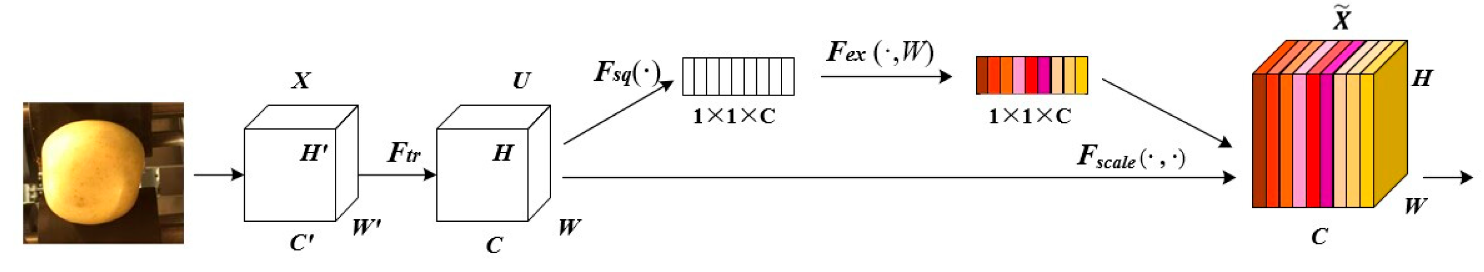 Agriculture 13 00124 g011