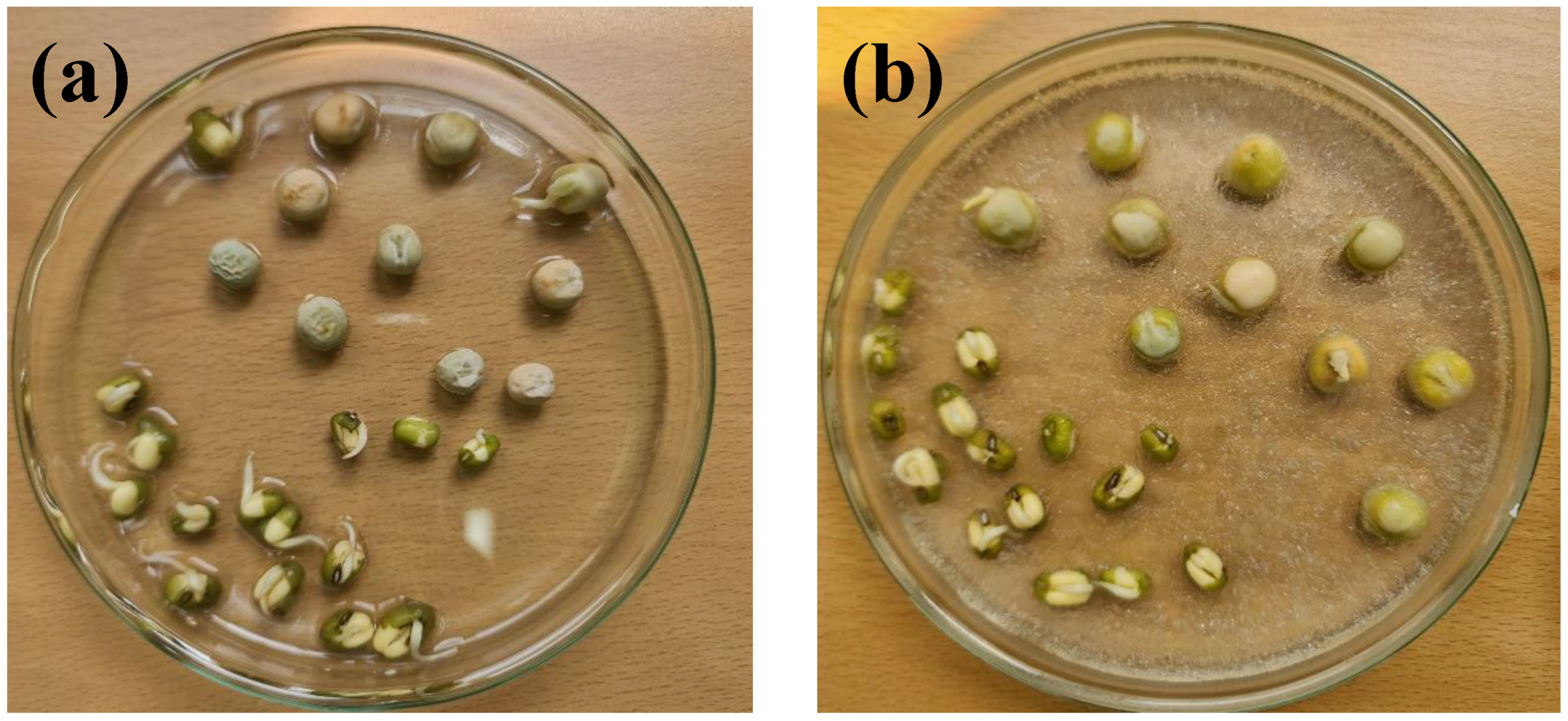 Agriculture 13 00152 g003 Agriculture 13 00152 g003