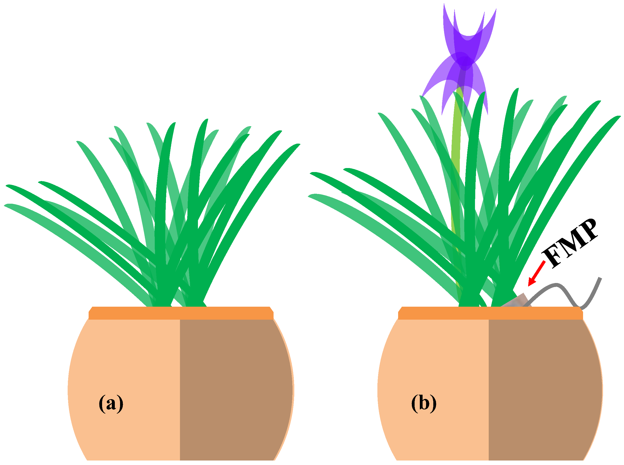 Agriculture 13 00152 g004 Agriculture 13 00152 g004