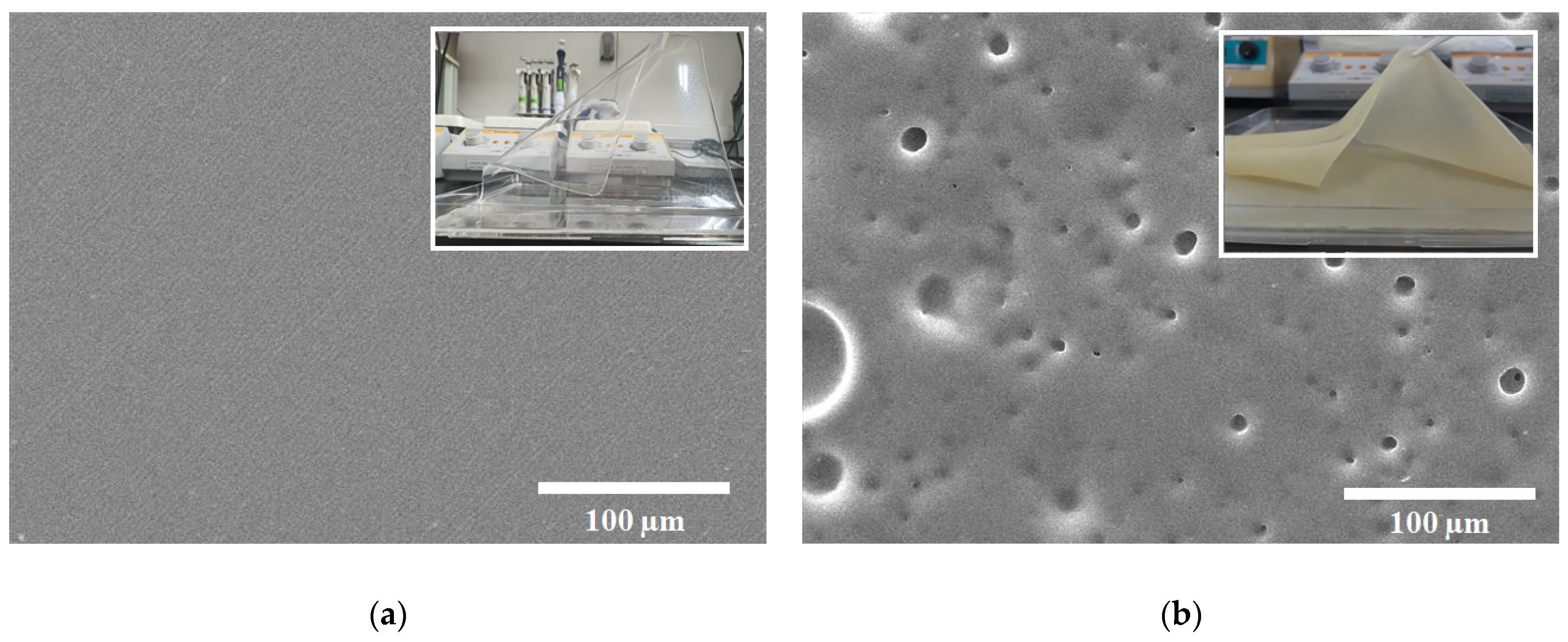 Agriculture 13 00161 g005