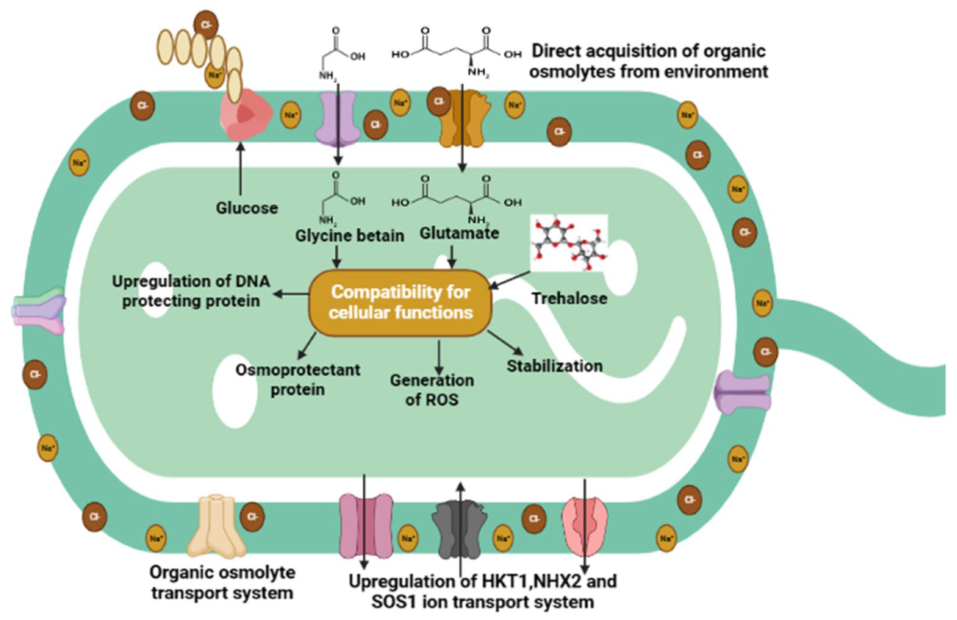 Agriculture 13 00168 g003