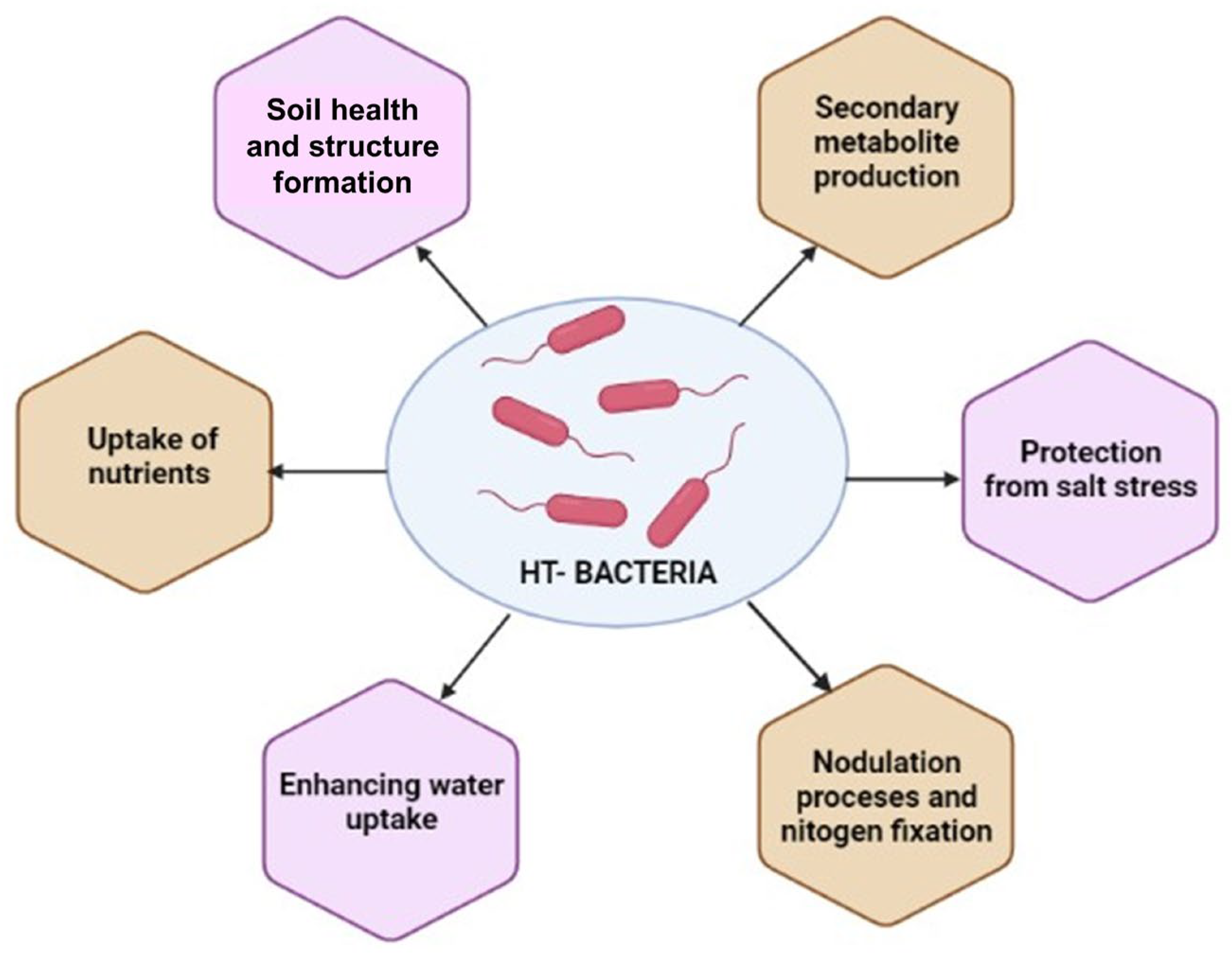 Agriculture 13 00168 g004