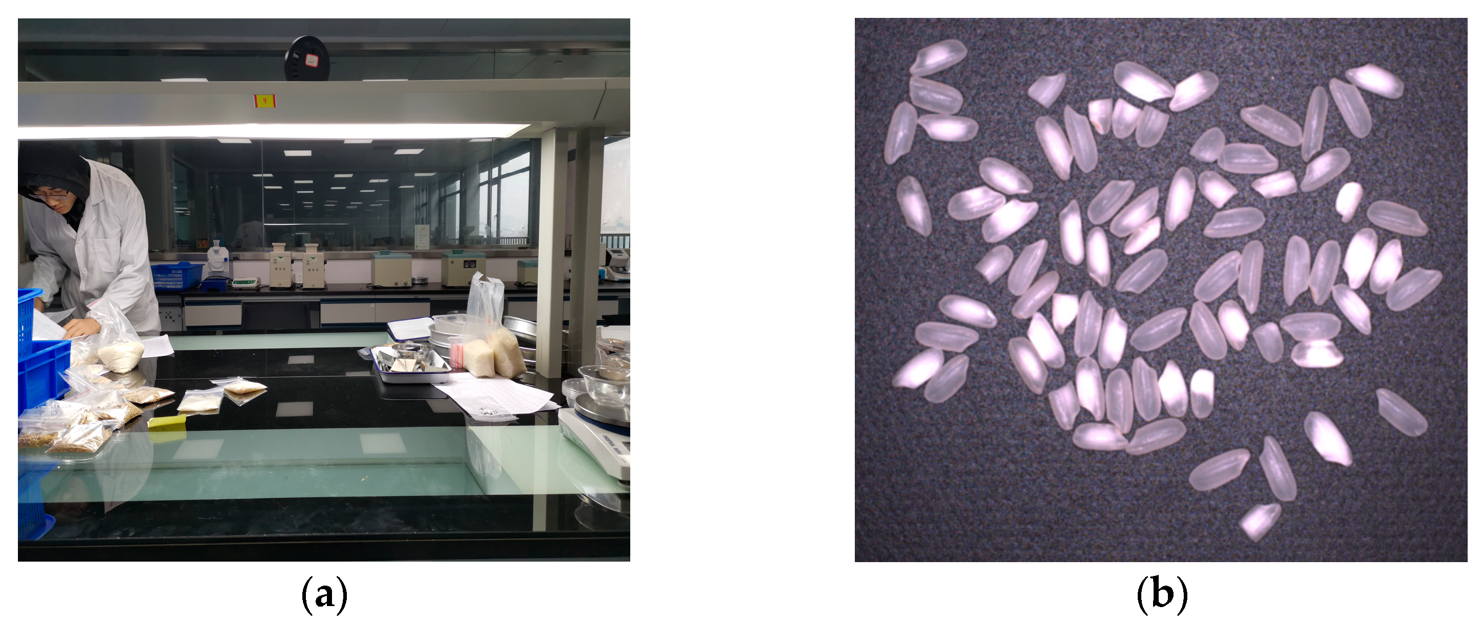 Agriculture 13 00182 g001 Agriculture 13 00182 g001