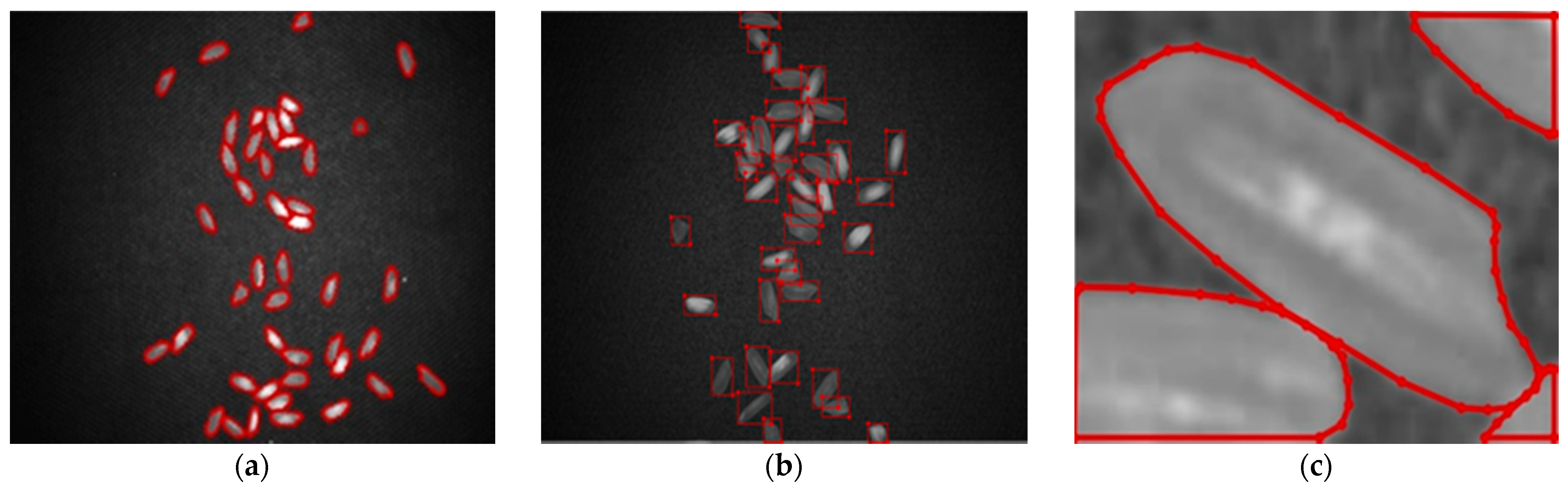 Agriculture 13 00182 g004 Agriculture 13 00182 g004