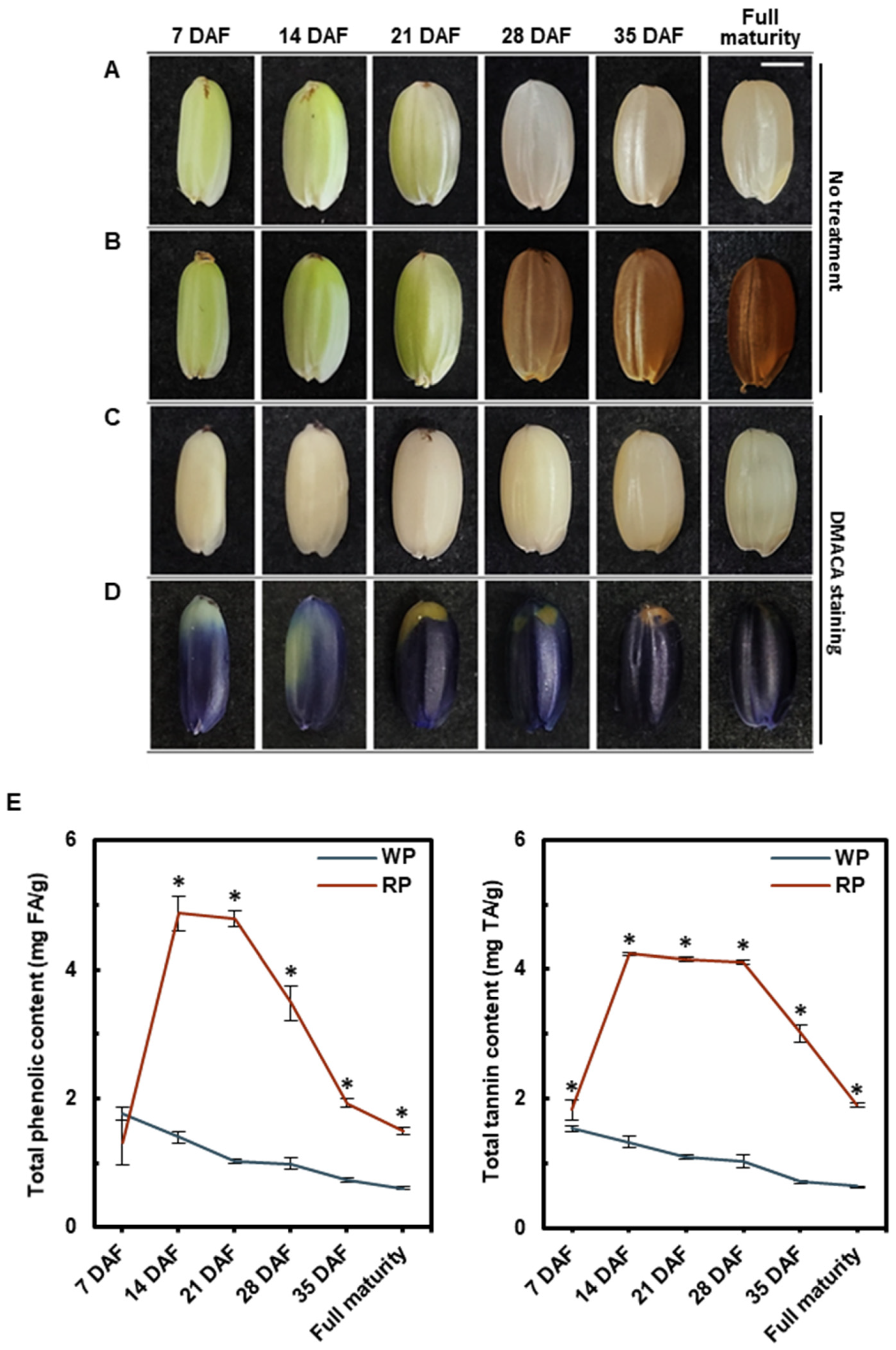 Agriculture 13 00183 g001
