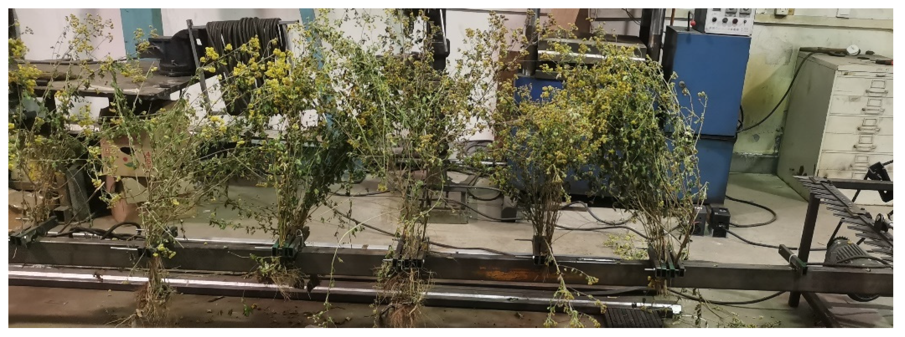 Agriculture 13 00190 g014