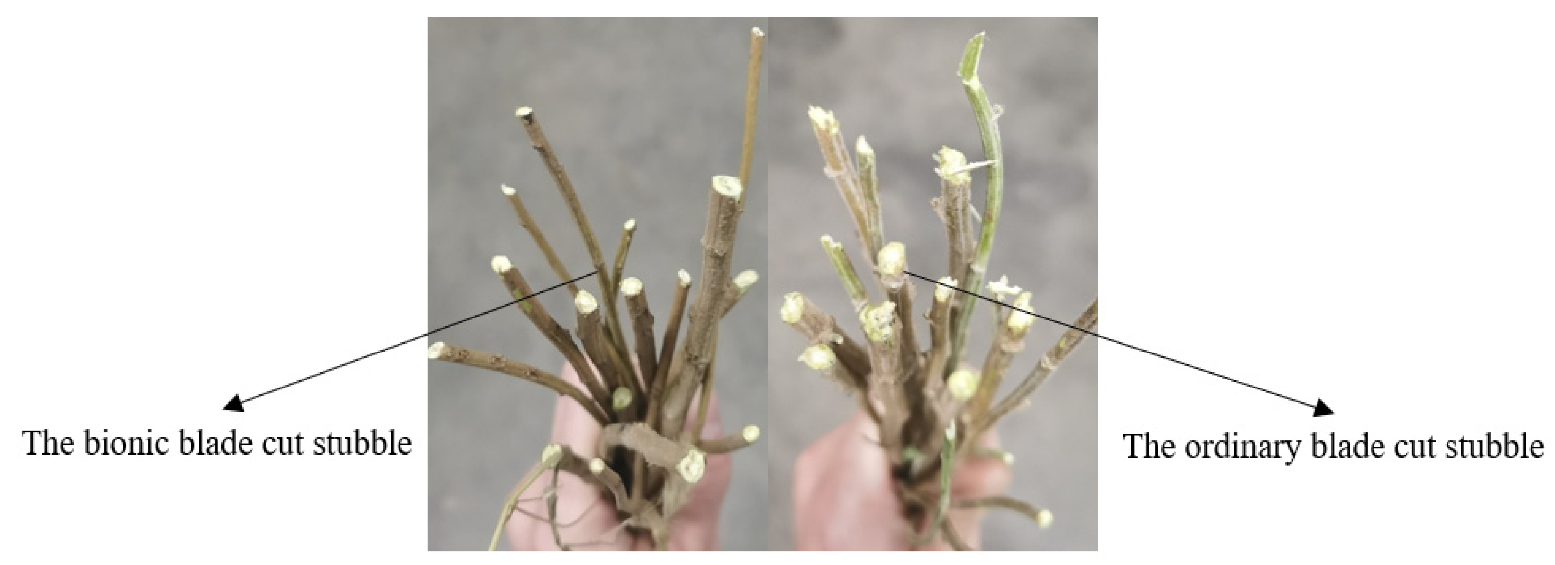 Agriculture 13 00190 g015