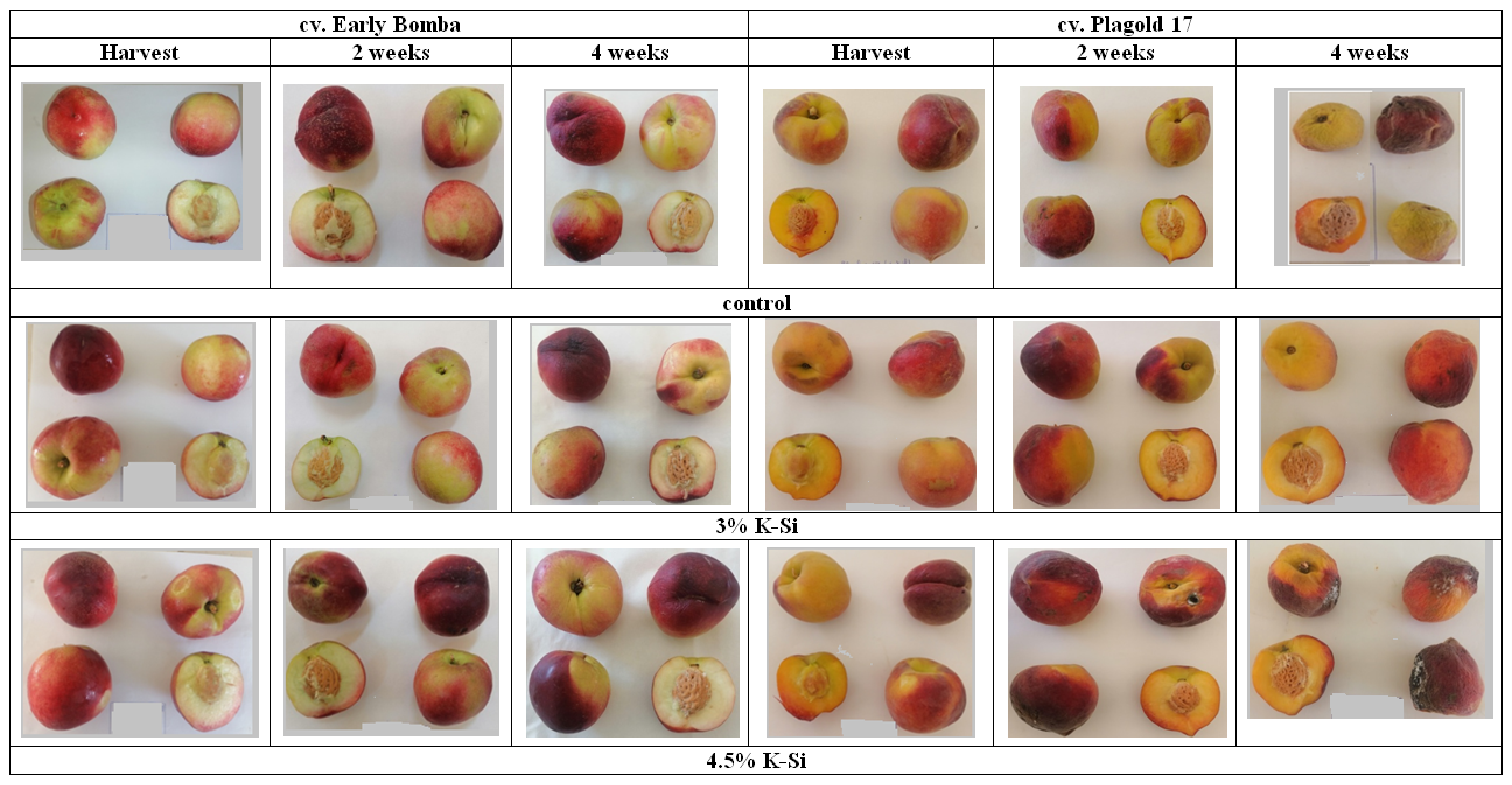 Agriculture Free FullText Foliar Fertilization of Potassium