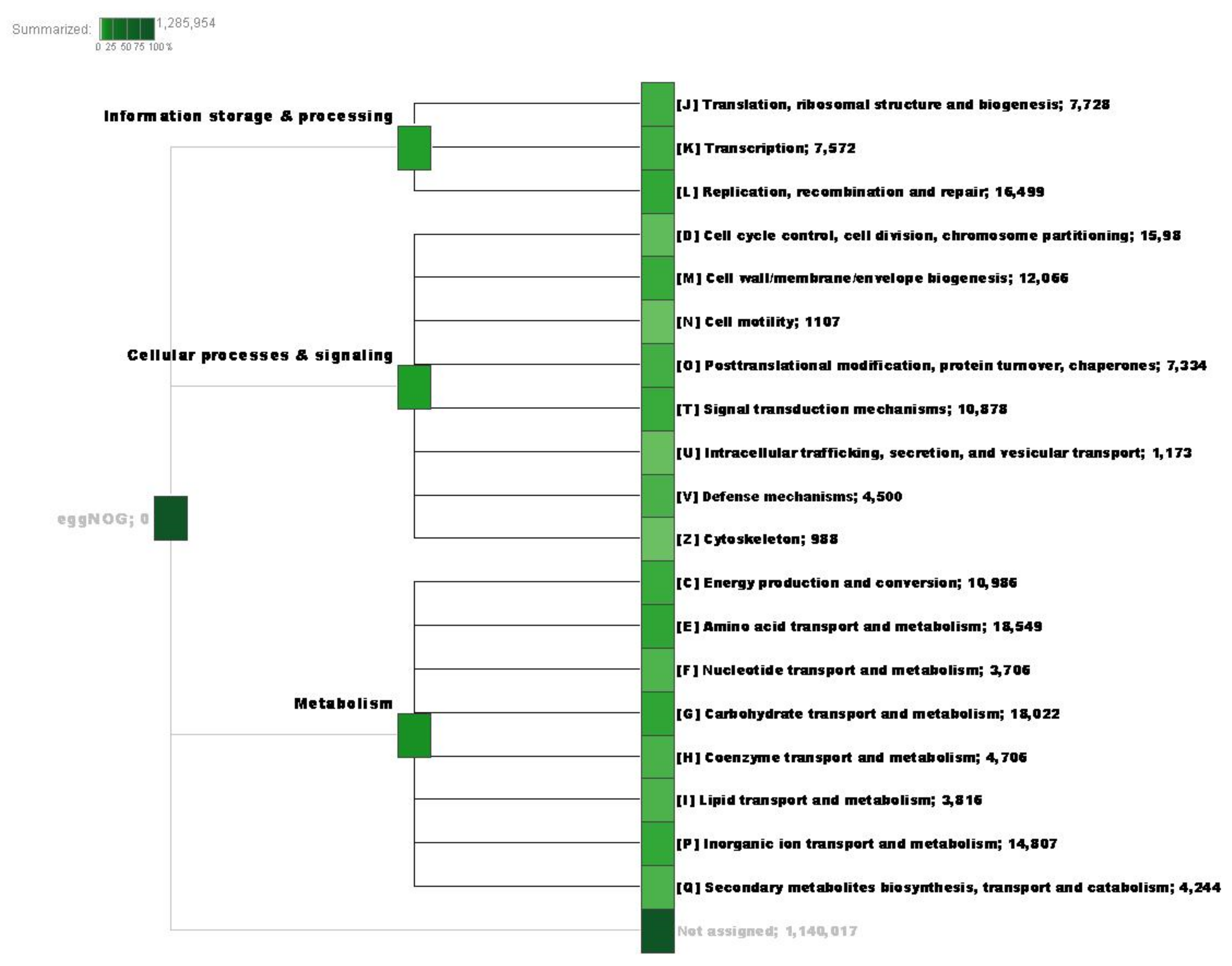 Agriculture 13 00196 g005 Agriculture 13 00196 g005