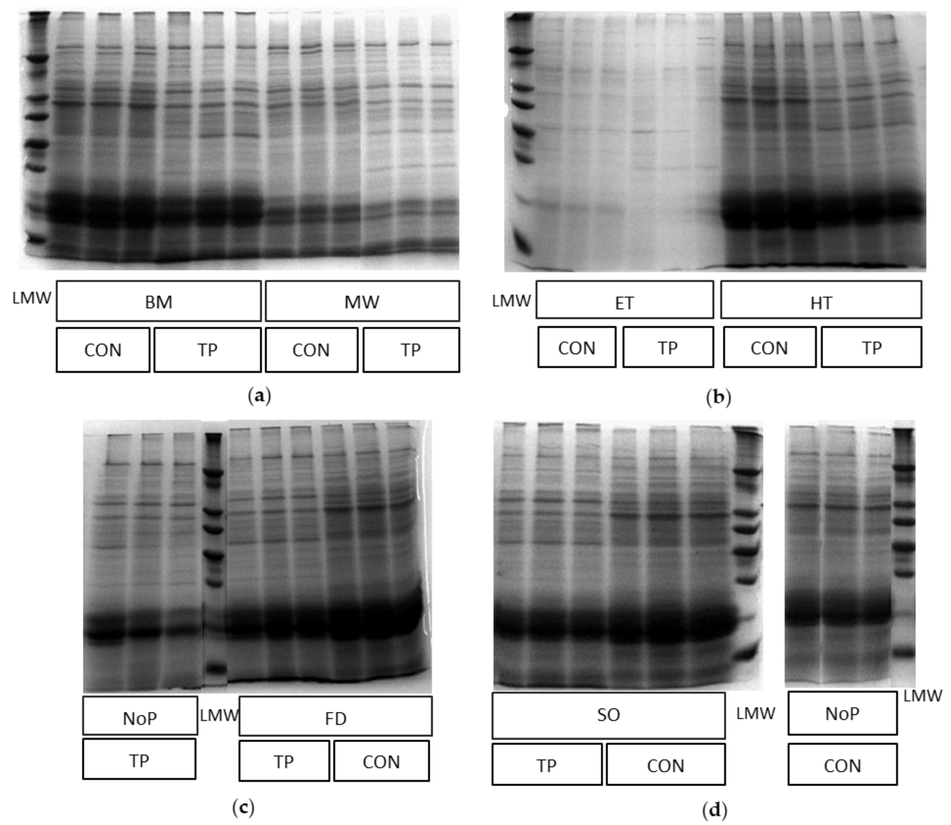 Agriculture 13 00198 g002 Agriculture 13 00198 g002