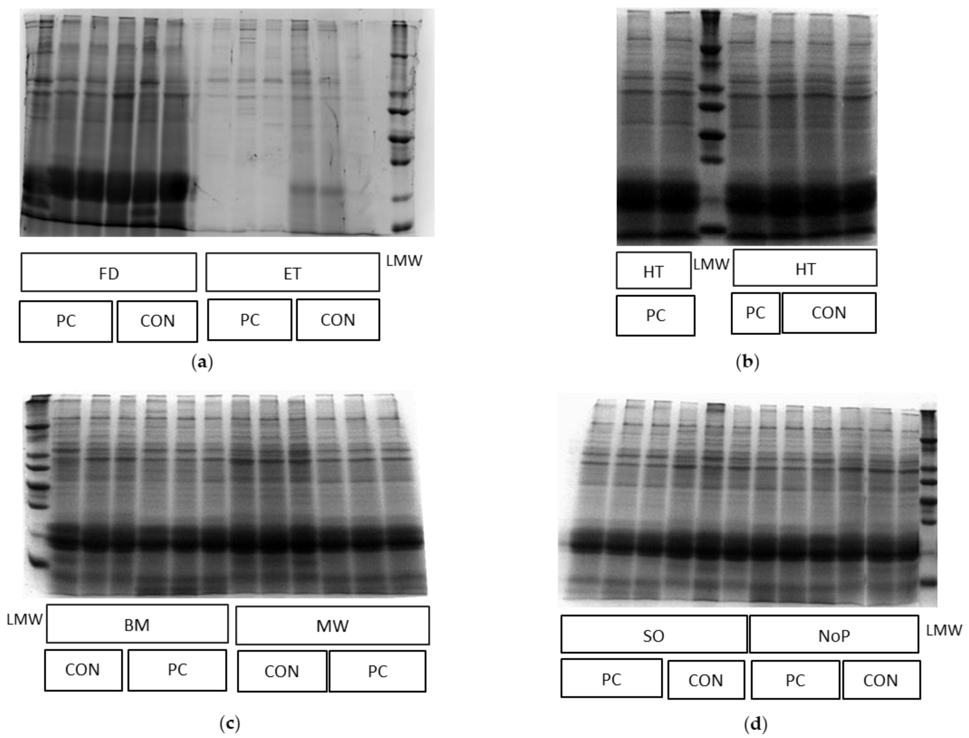 Agriculture 13 00198 g003 Agriculture 13 00198 g003