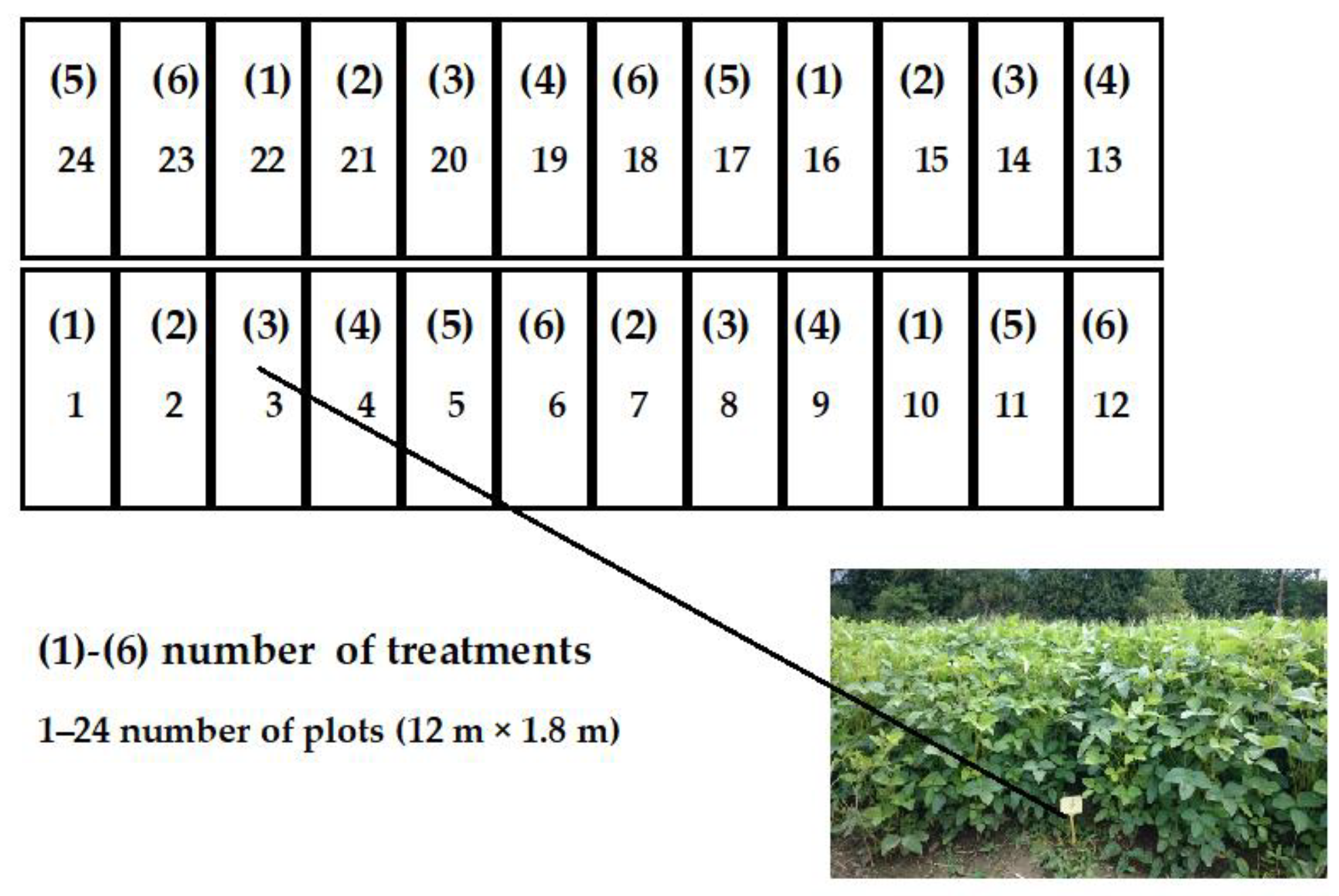 Agriculture 13 00201 sch001 Agriculture 13 00201 sch001
