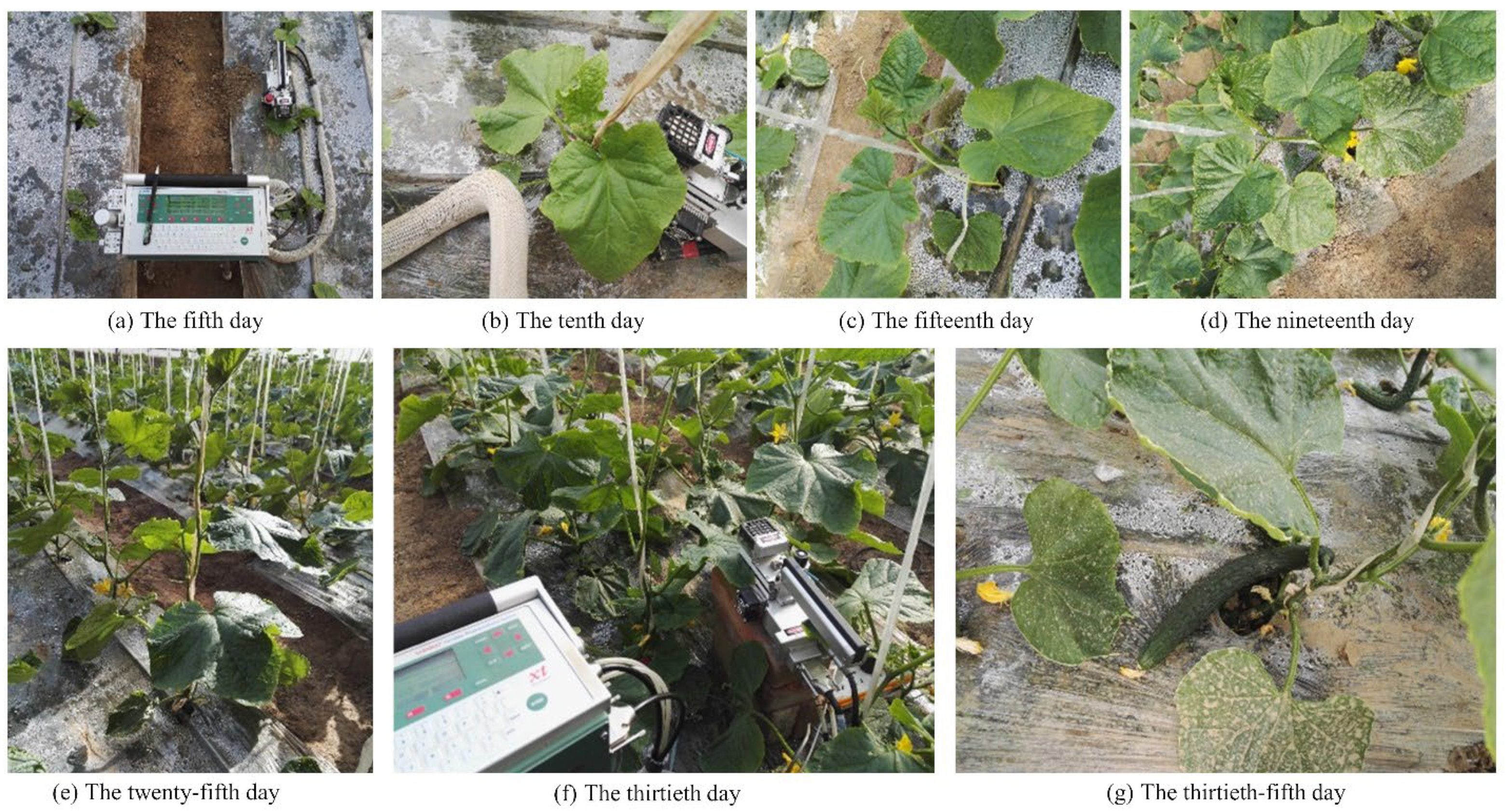 Agriculture 13 00204 g002 Agriculture 13 00204 g002