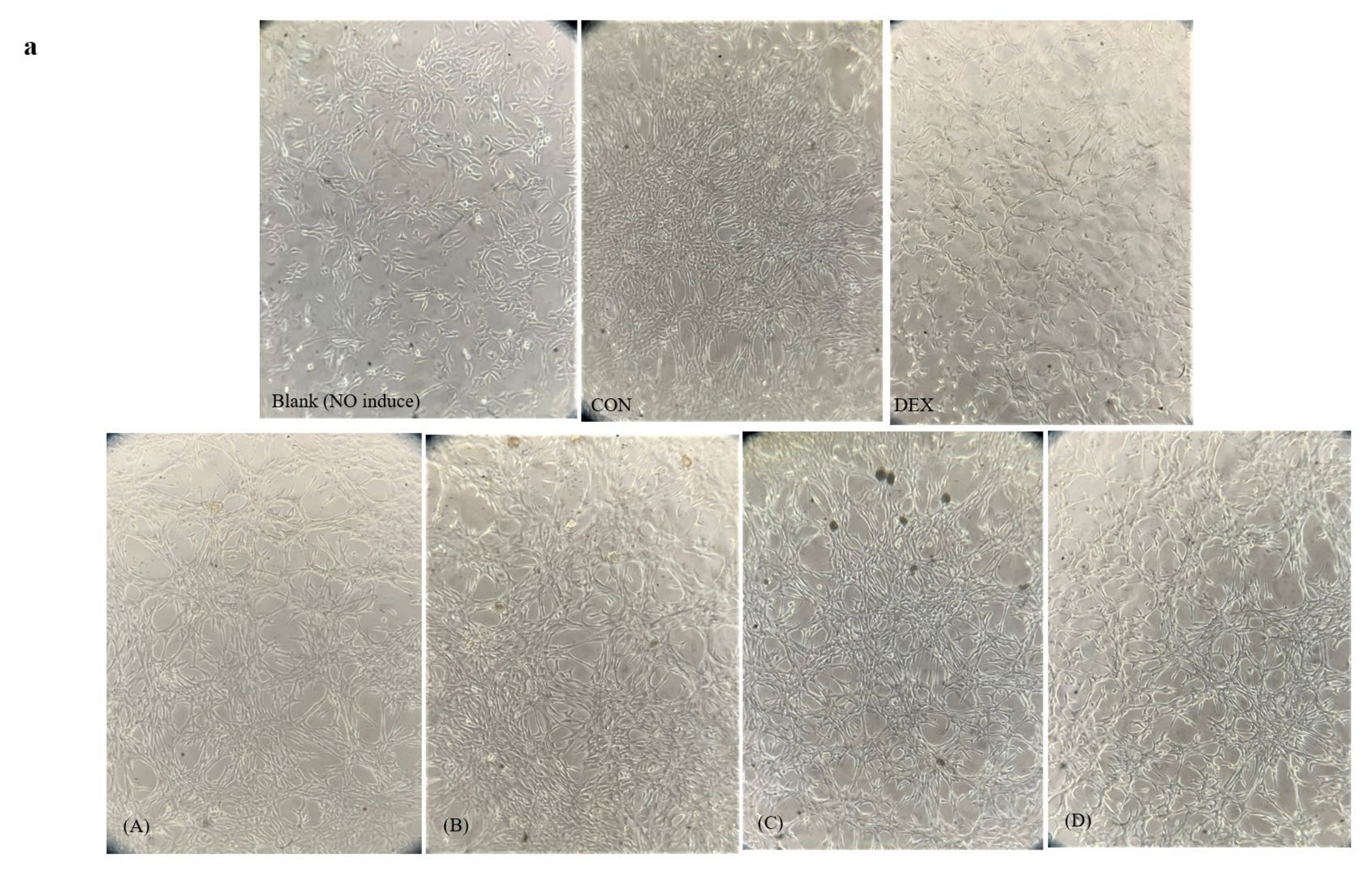 Agriculture 13 00209 g007a Agriculture 13 00209 g007a