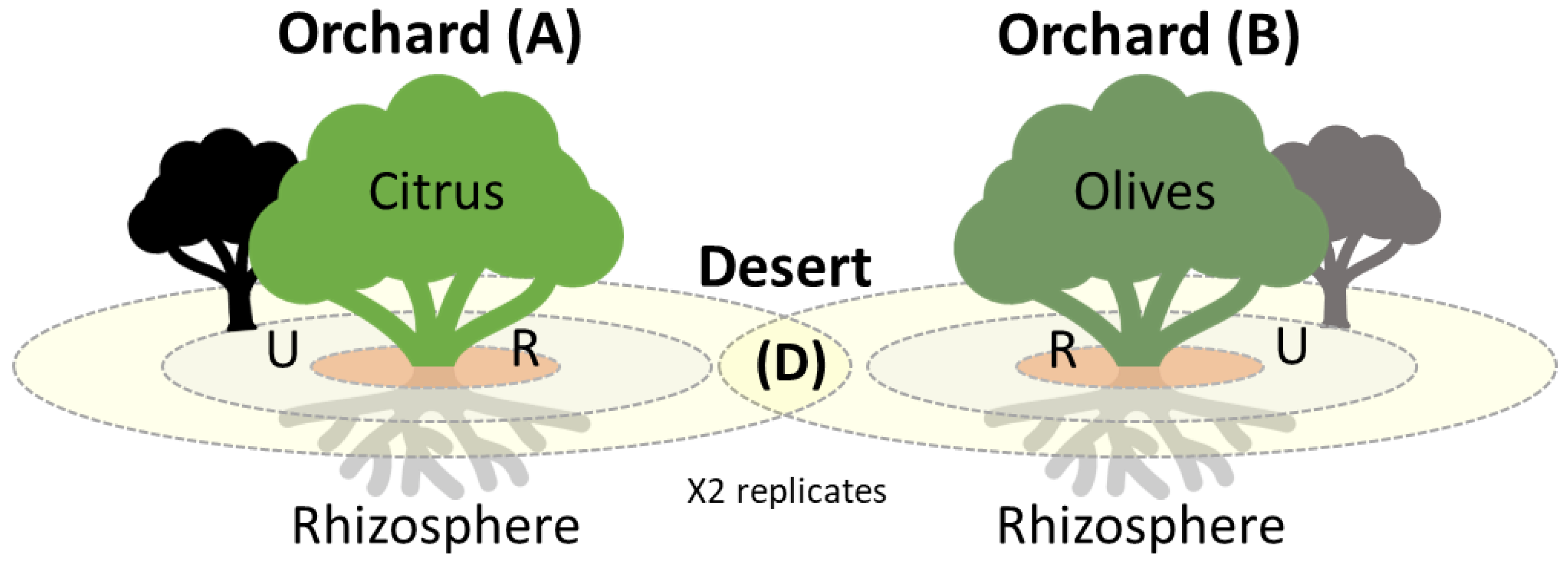Agriculture 13 00215 g001