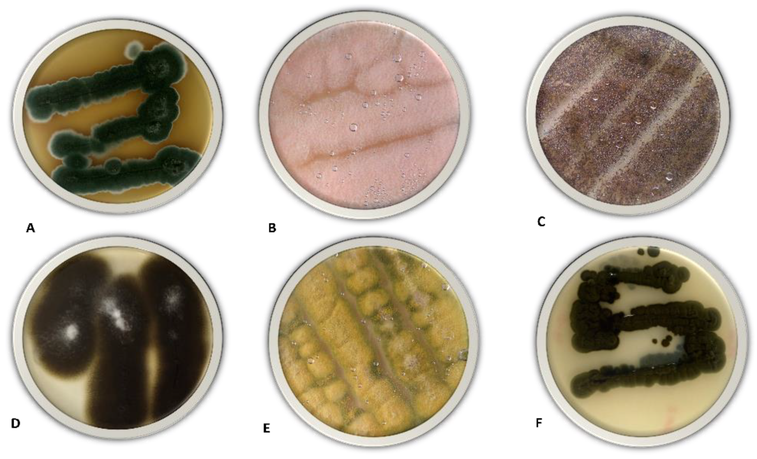 Agriculture 13 00215 g003