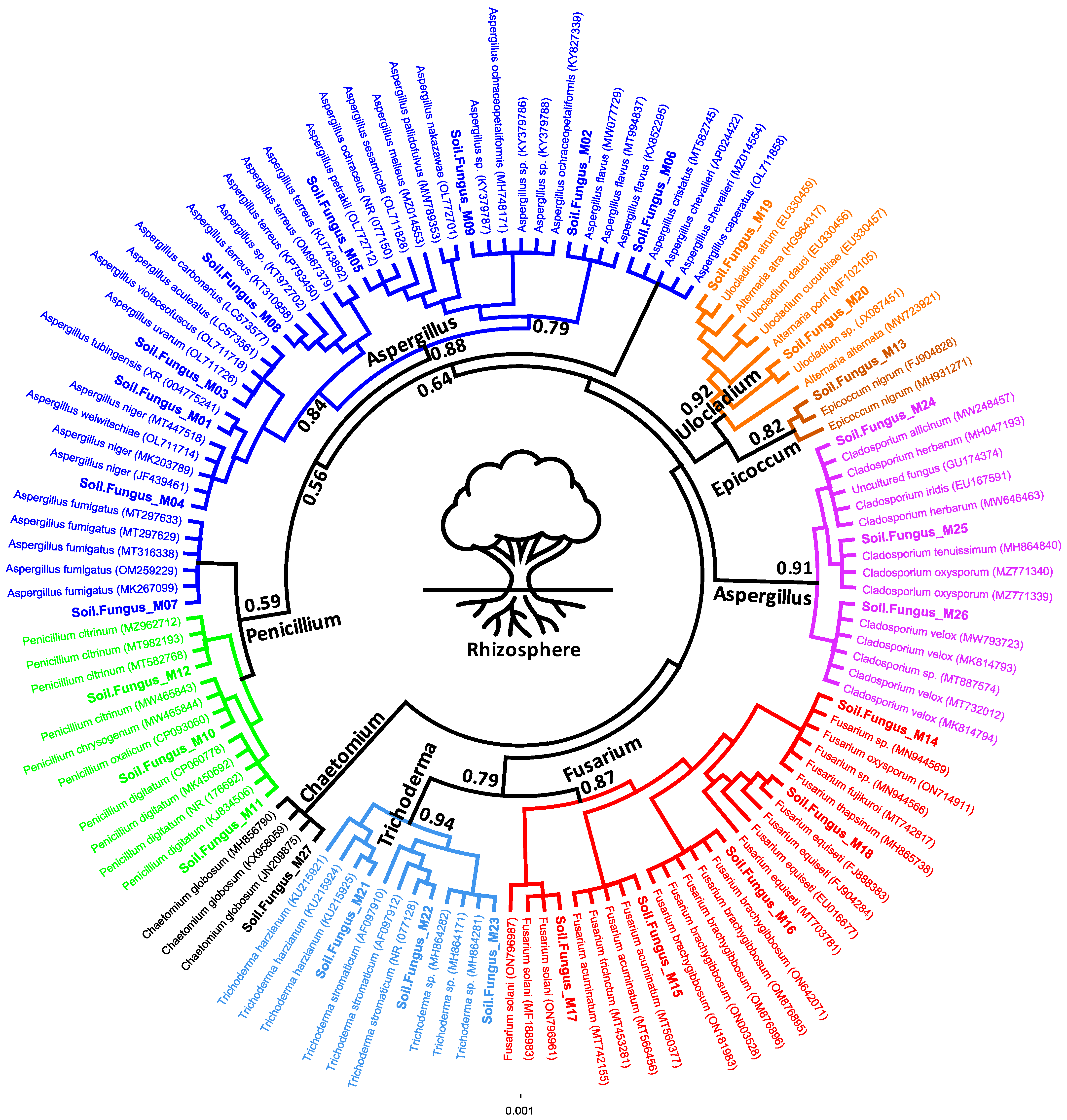 Agriculture 13 00215 g004