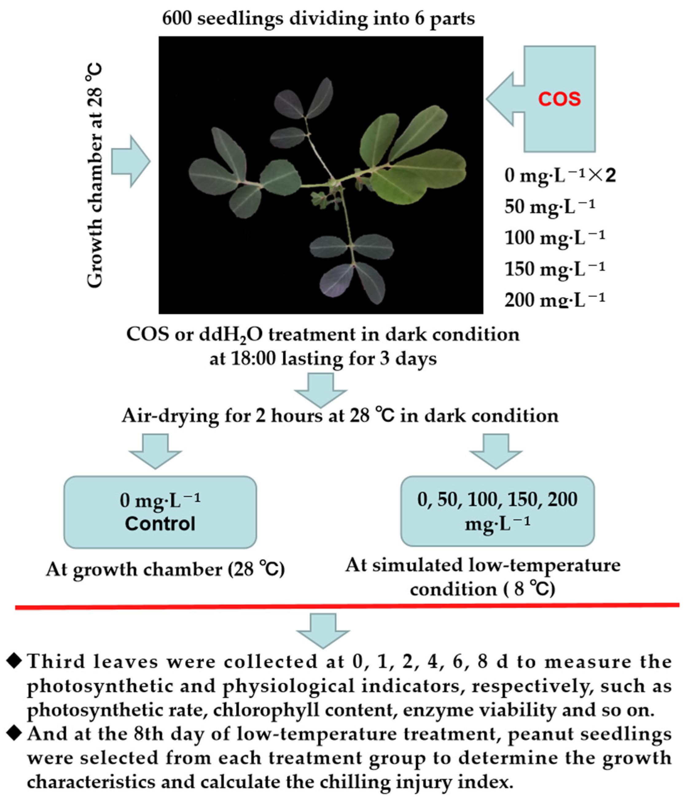 Agriculture 13 00217 g001 Agriculture 13 00217 g001
