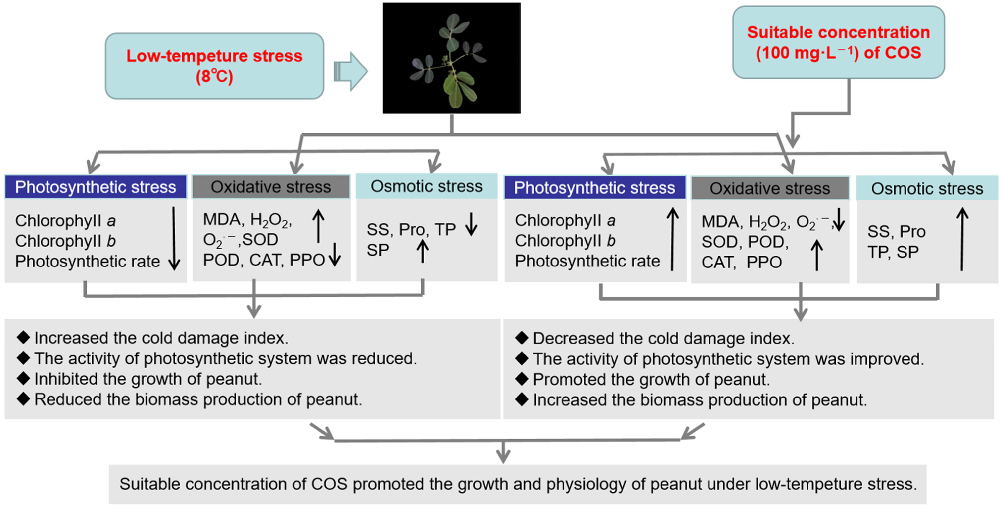 Agriculture 13 00217 g006 Agriculture 13 00217 g006