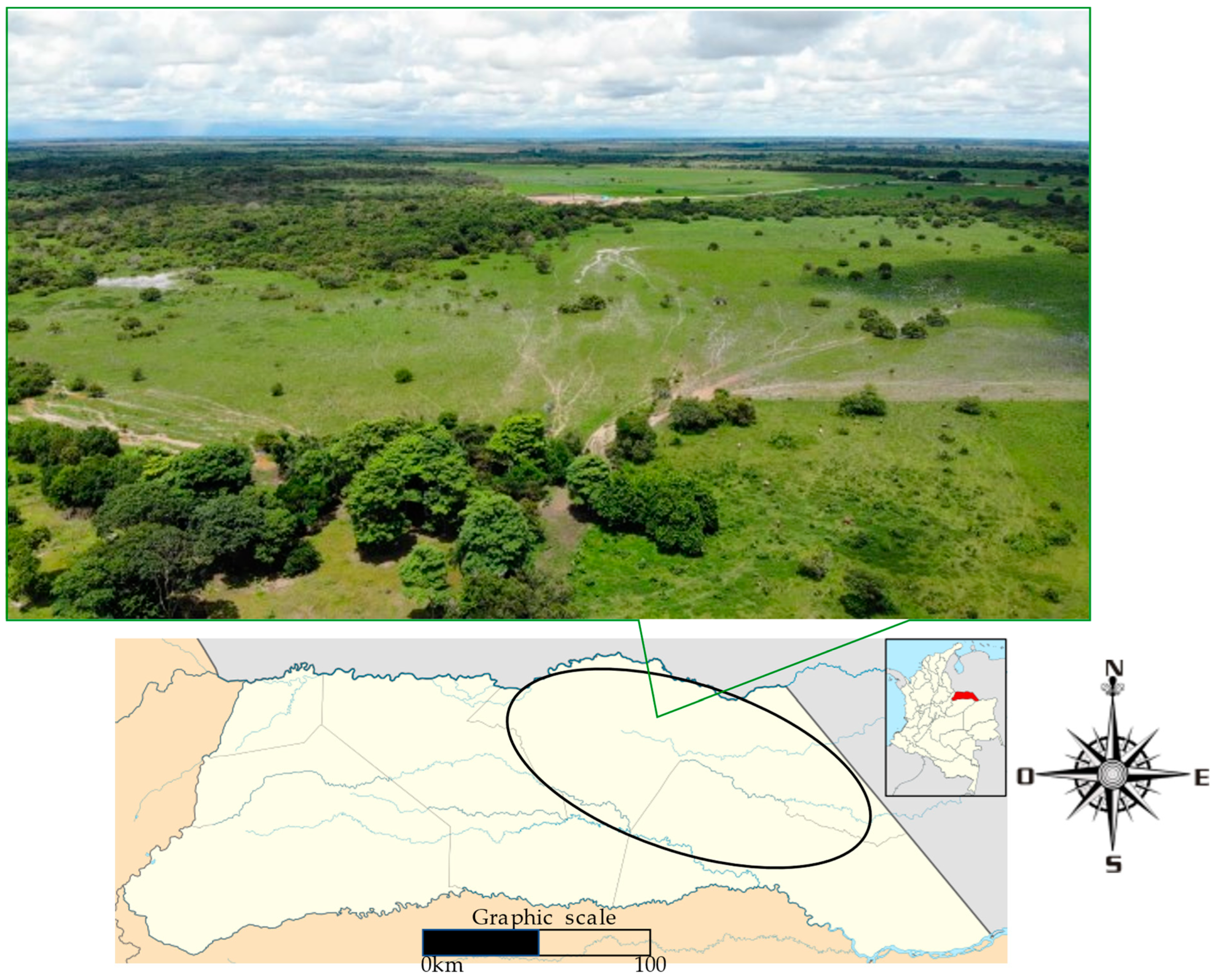 Agriculture 13 00220 g001 Agriculture 13 00220 g001