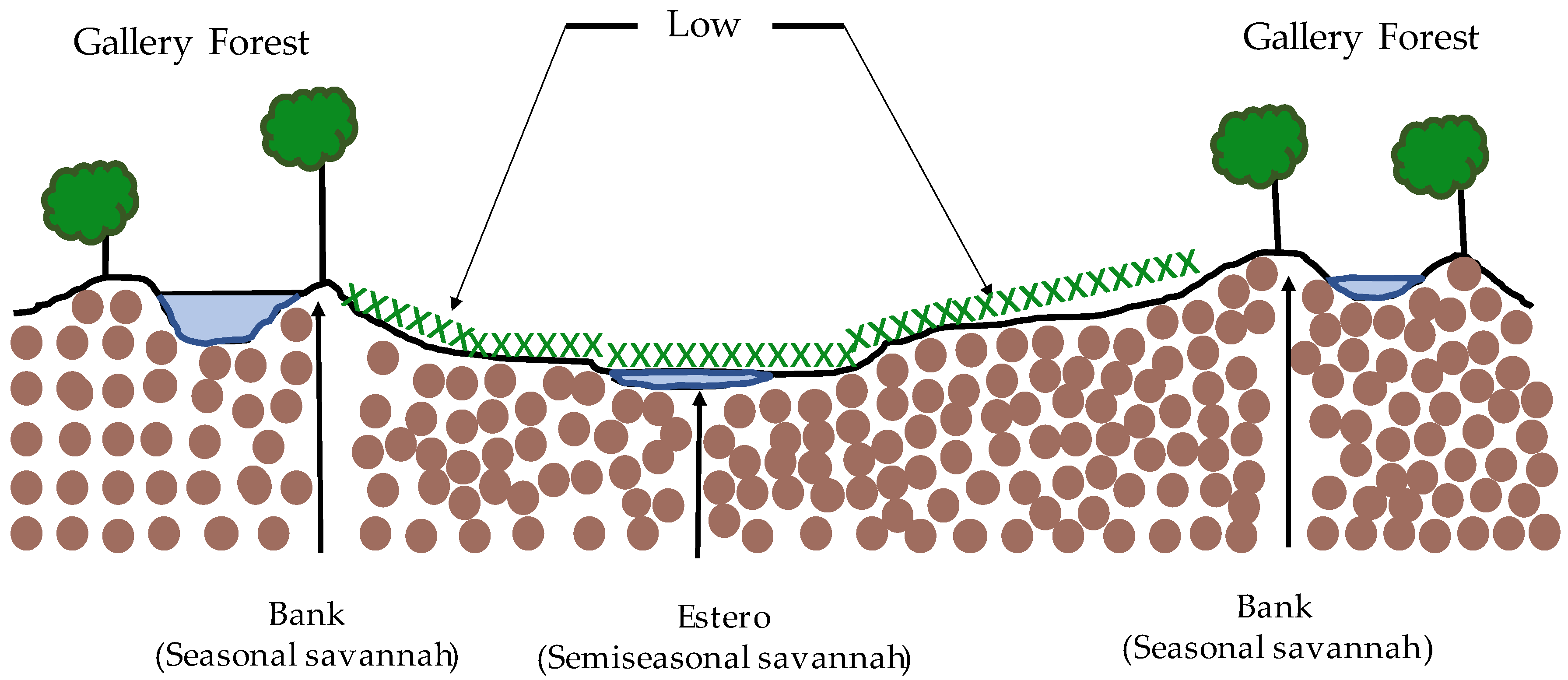 Agriculture 13 00220 g003 Agriculture 13 00220 g003