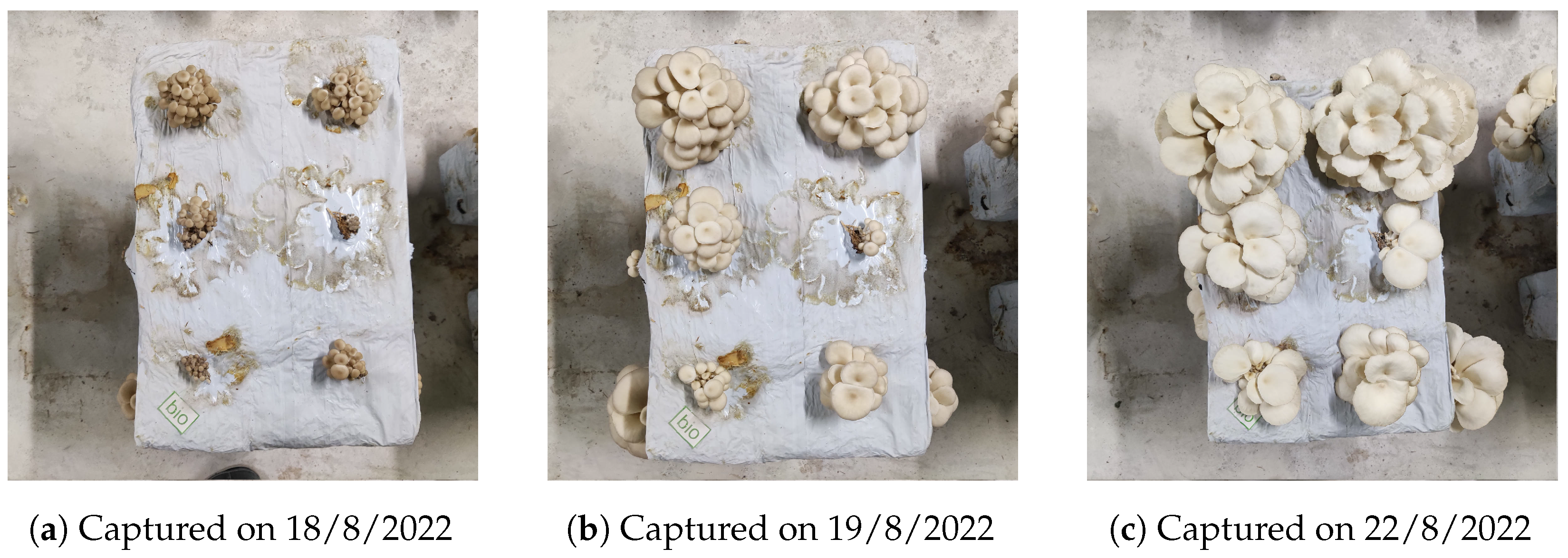 Agriculture 13 00223 g003