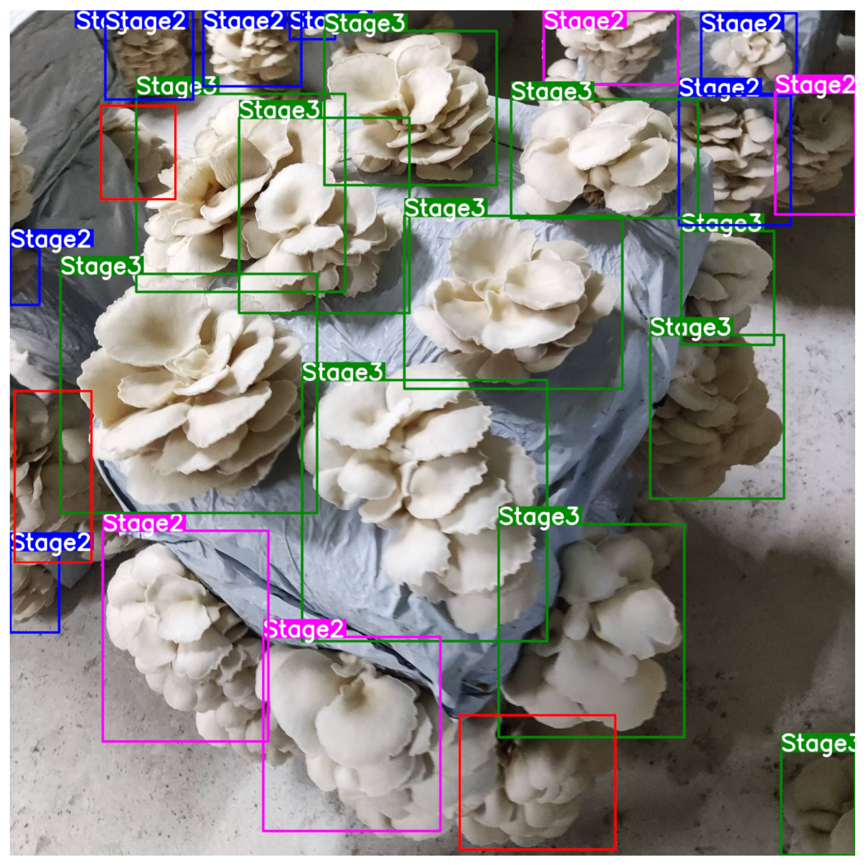 Agriculture 13 00223 g009