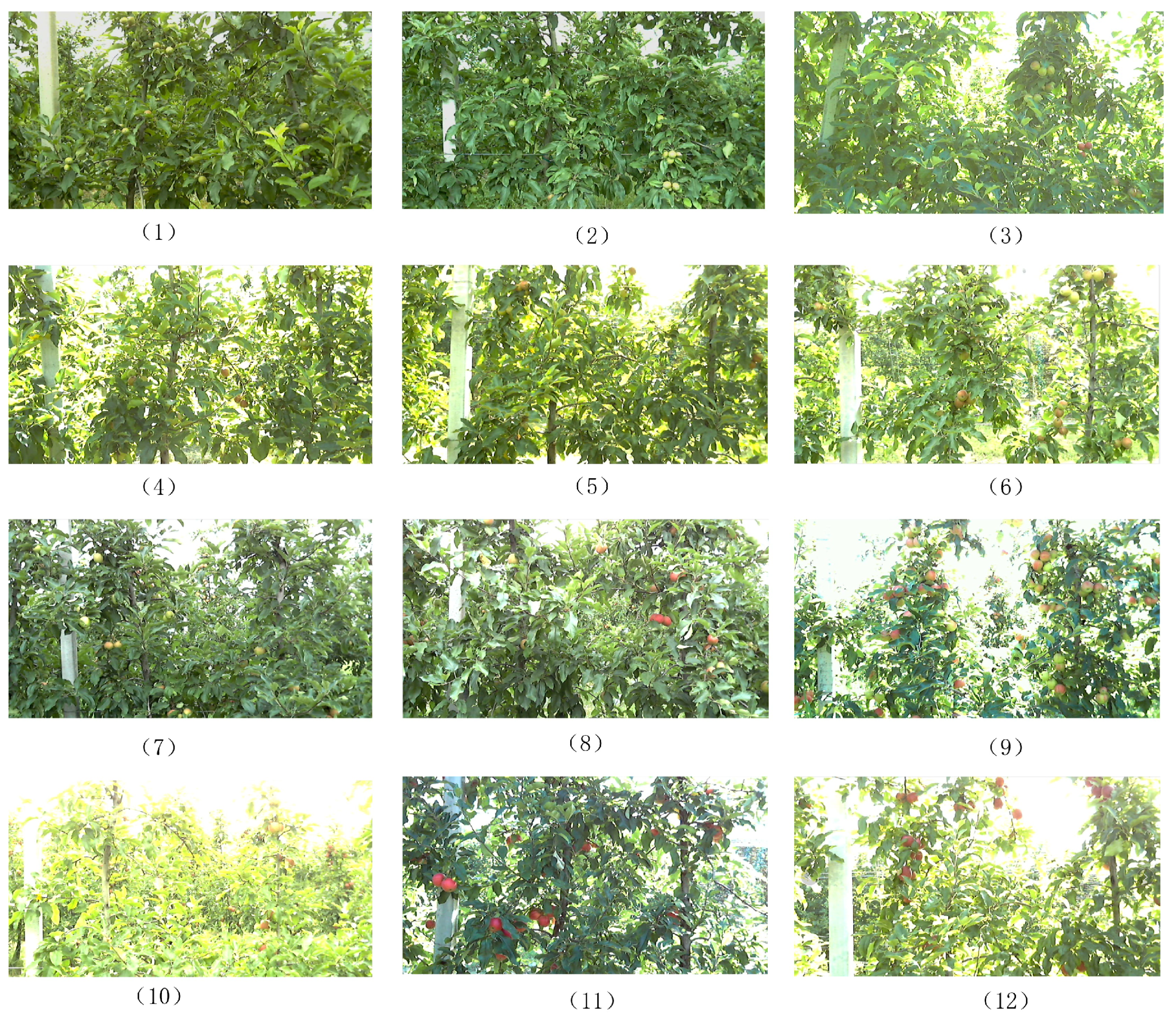 Agriculture 13 00228 g002 Agriculture 13 00228 g002