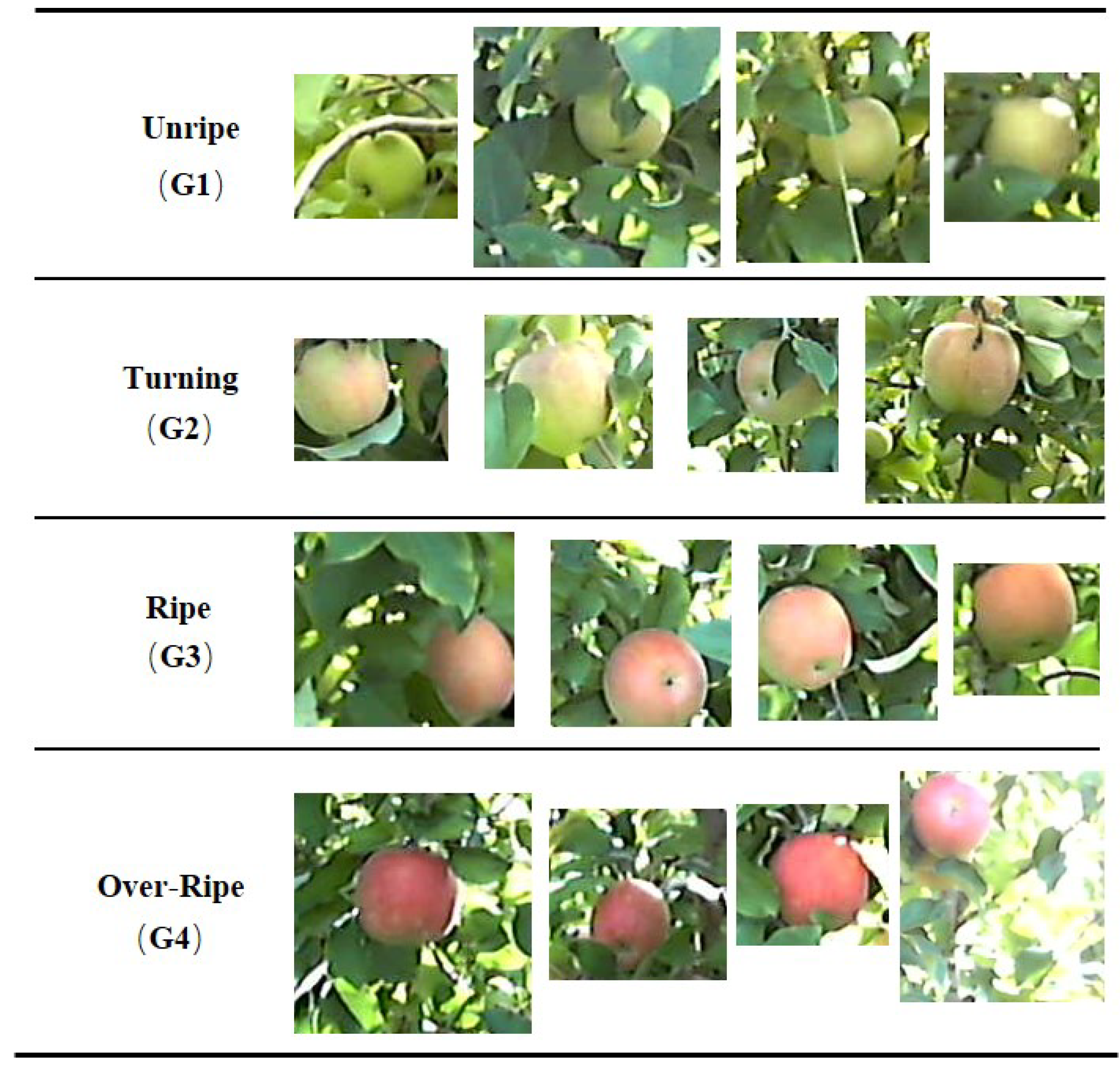 Agriculture 13 00228 g003 Agriculture 13 00228 g003