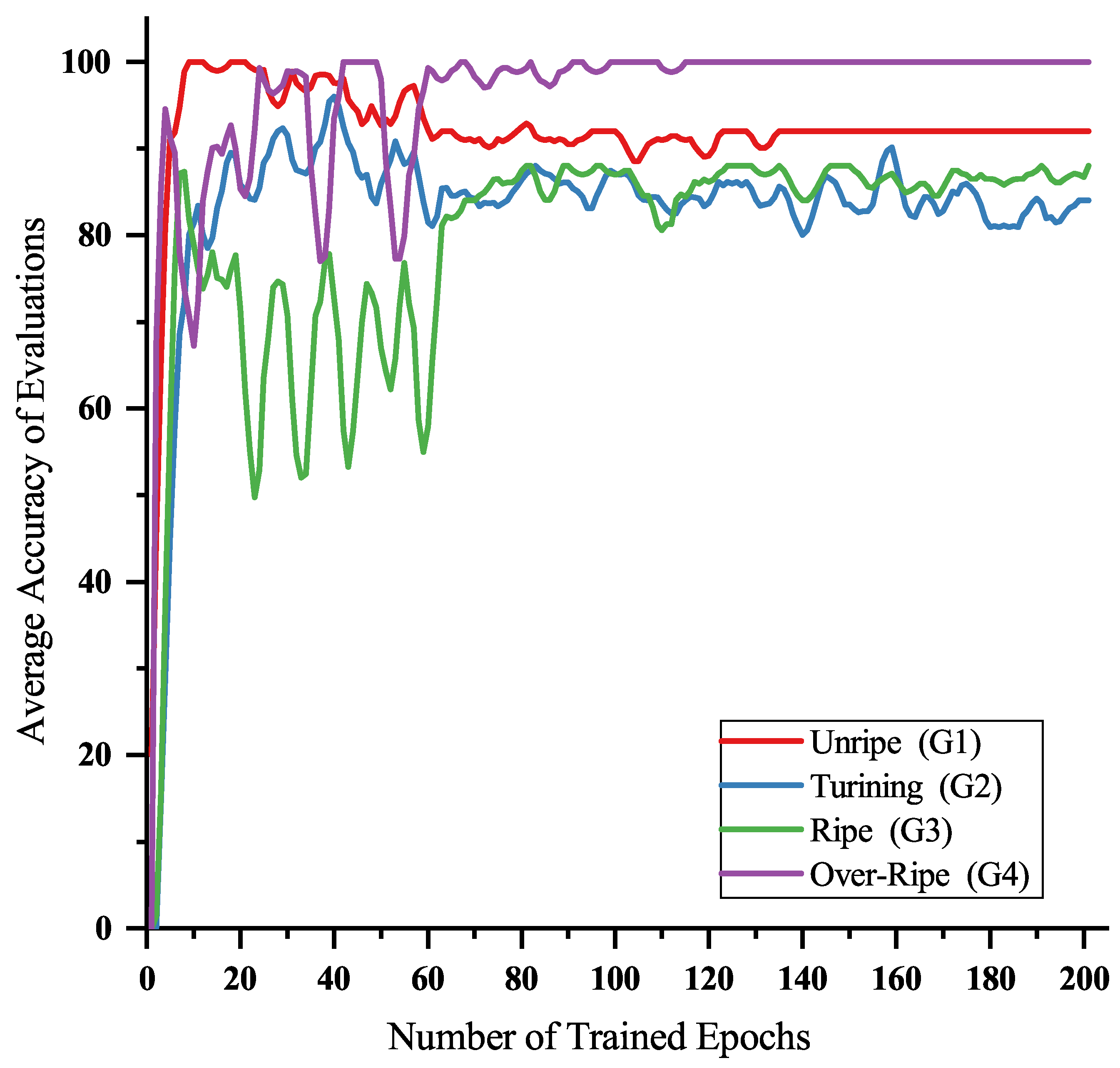 Agriculture Free FullText AttentionBased FineGrained Lightweight