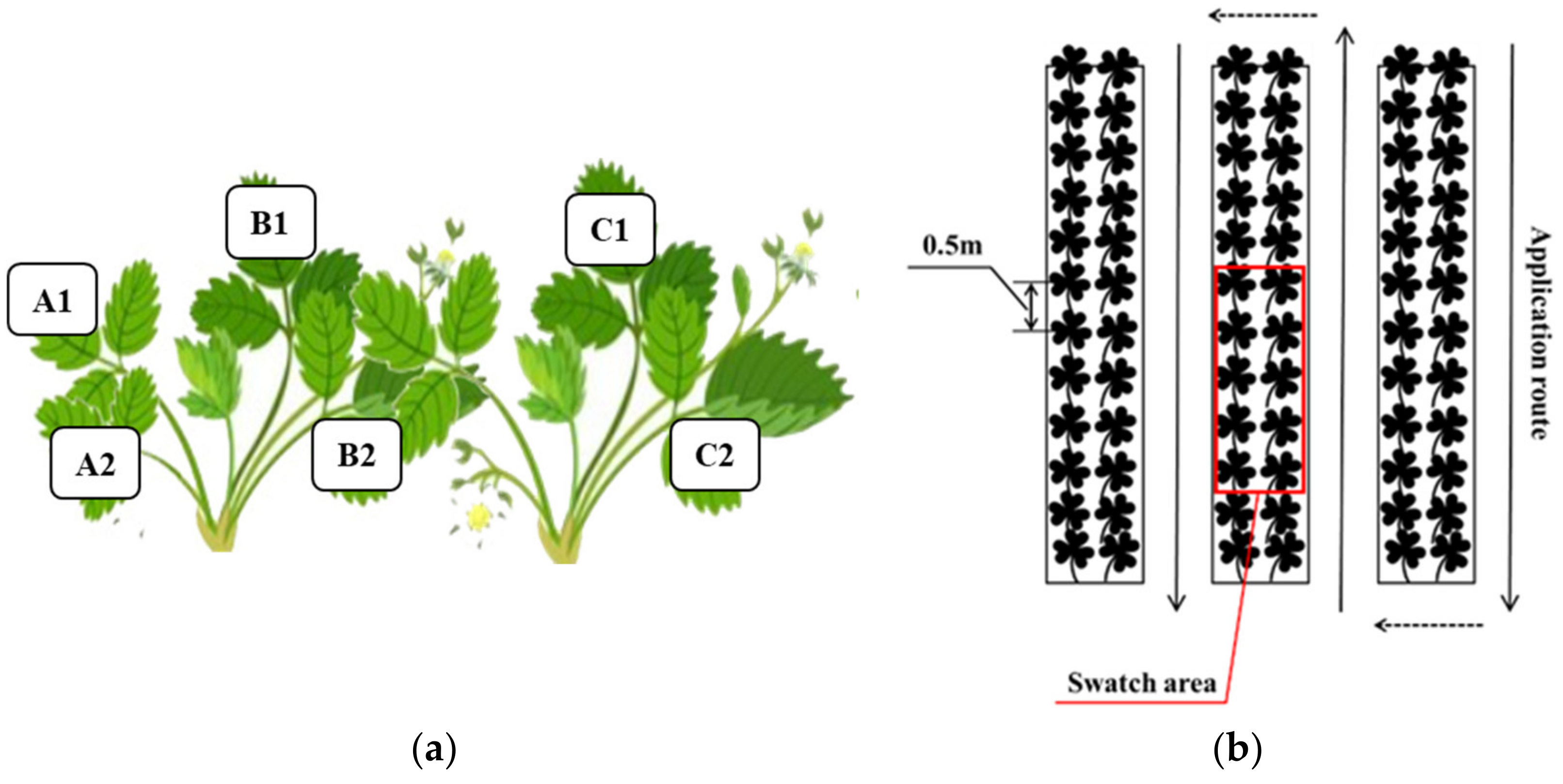 Agriculture 13 00230 g004