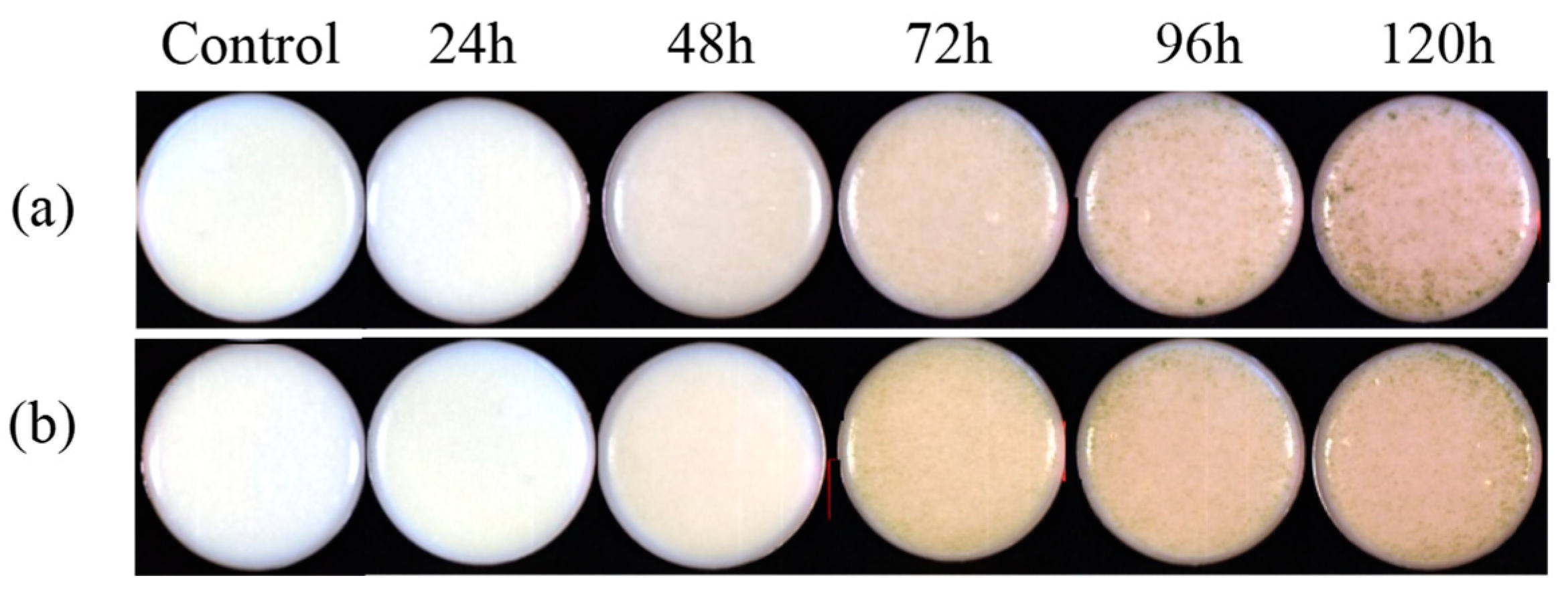 Agriculture 13 00237 g001 Agriculture 13 00237 g001