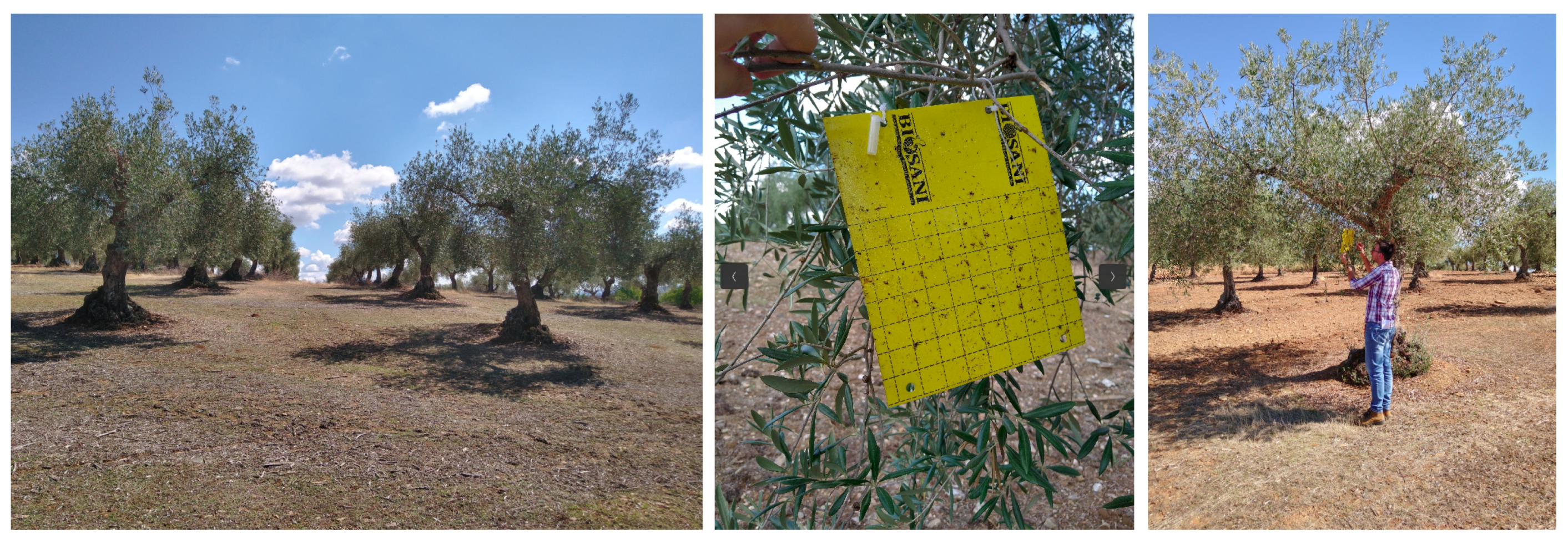 Agriculture 13 00239 g001 Agriculture 13 00239 g001