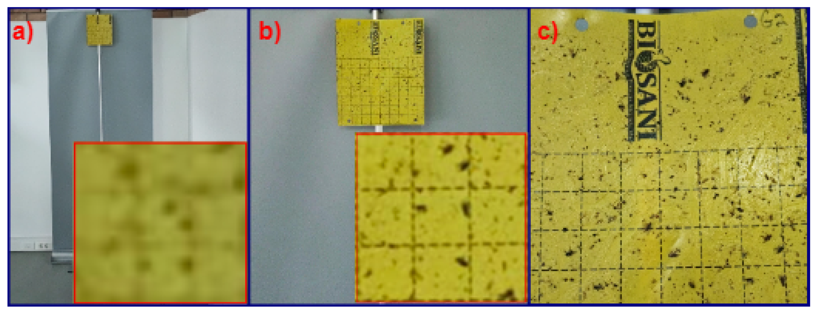 Agriculture 13 00239 g002 Agriculture 13 00239 g002