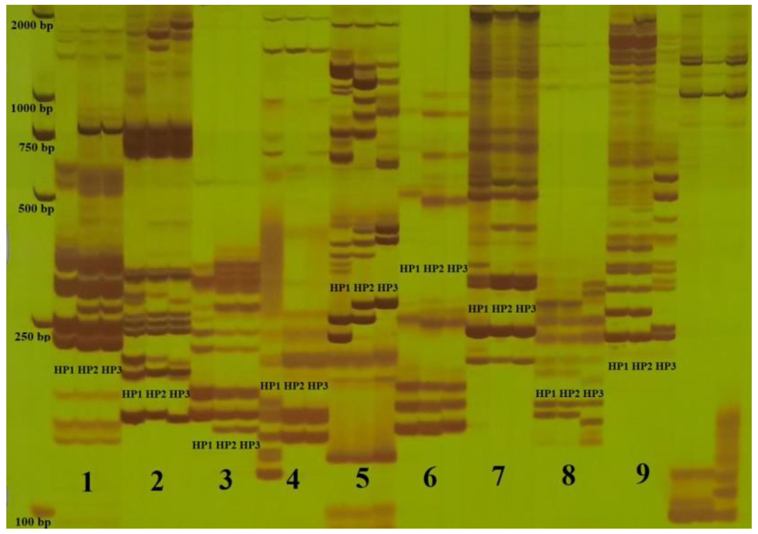 Agriculture 13 00242 g002 Agriculture 13 00242 g002