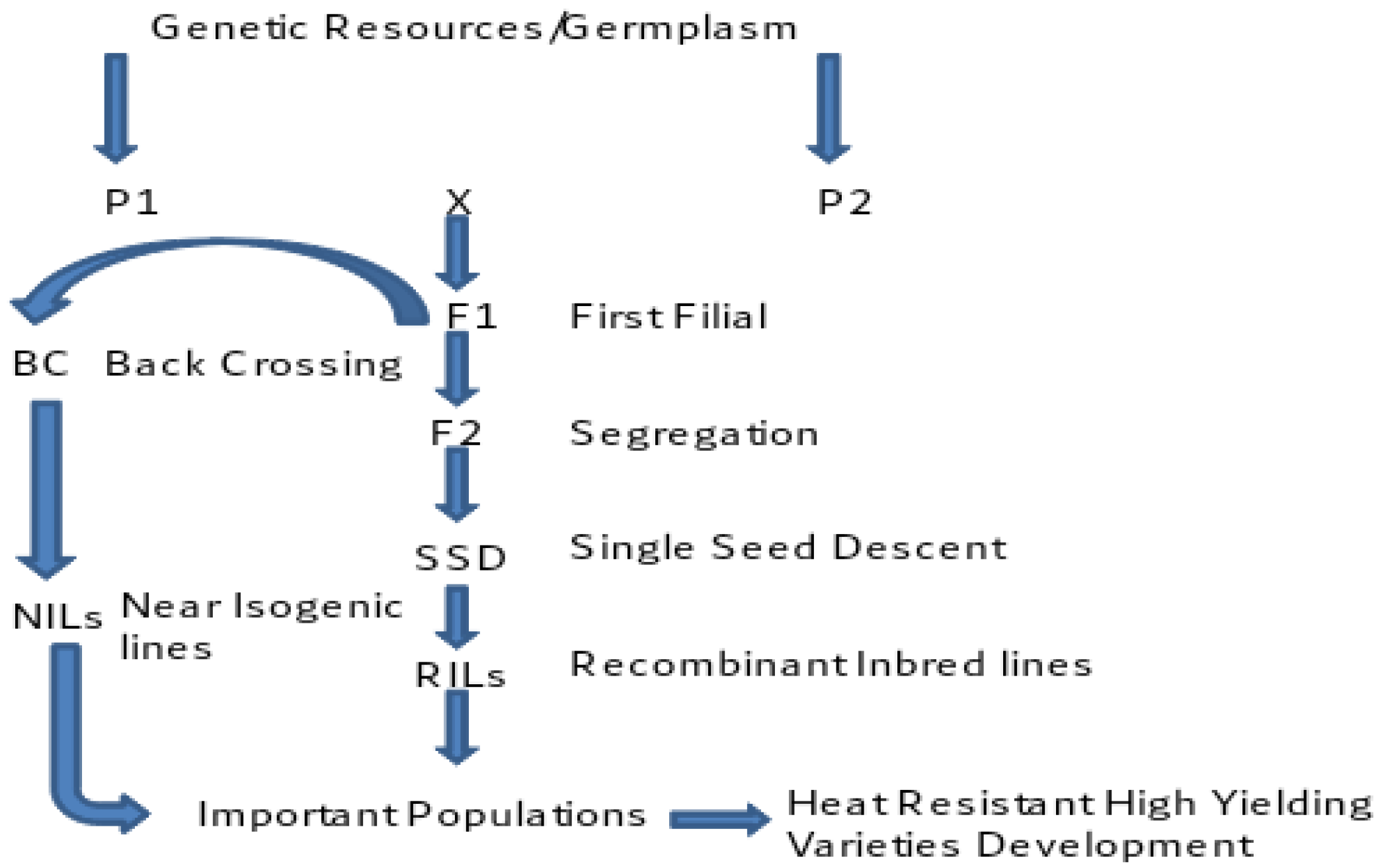 Agriculture 13 00242 g006 Agriculture 13 00242 g006