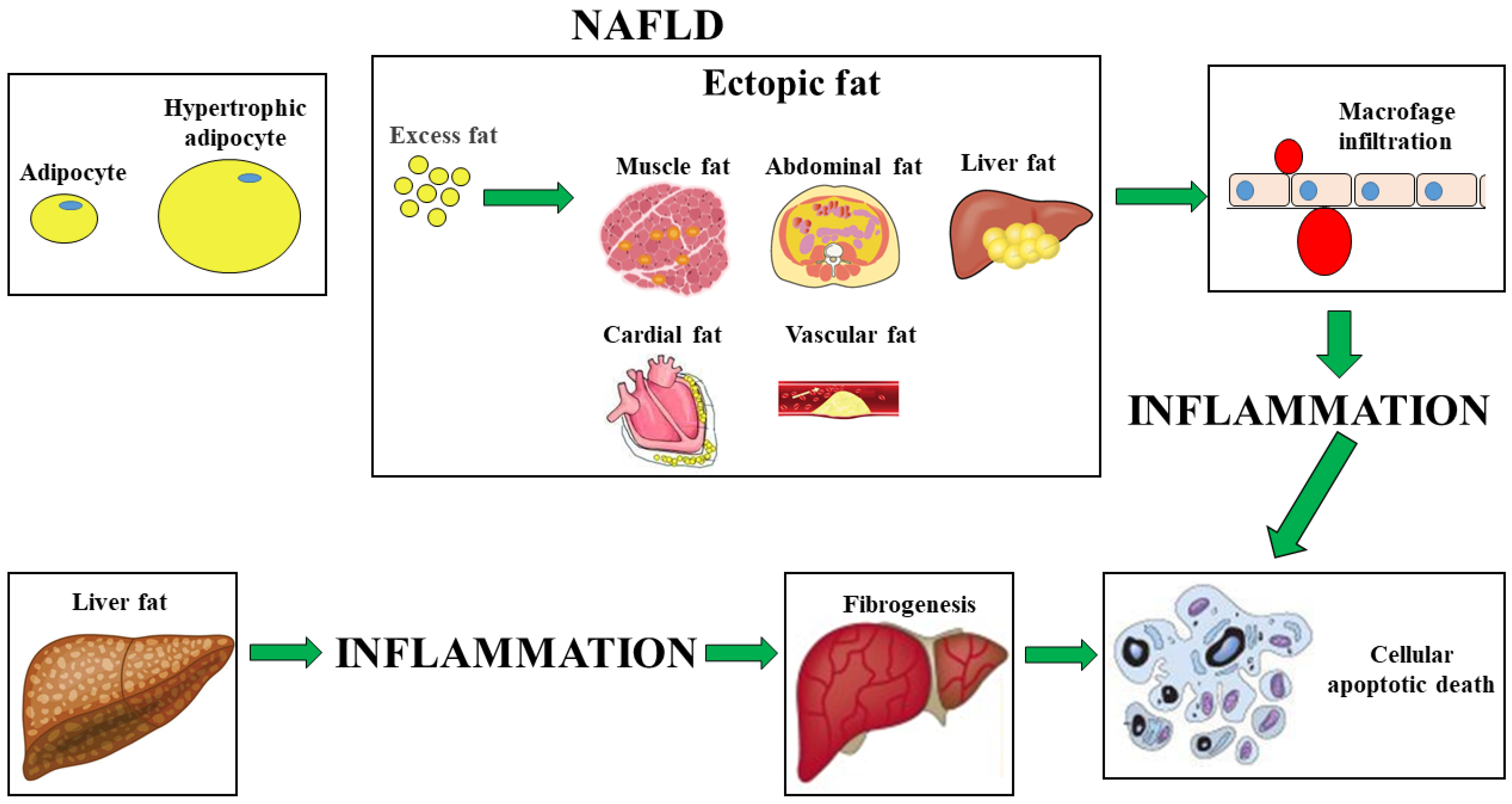 Agriculture 13 00249 g001 Agriculture 13 00249 g001