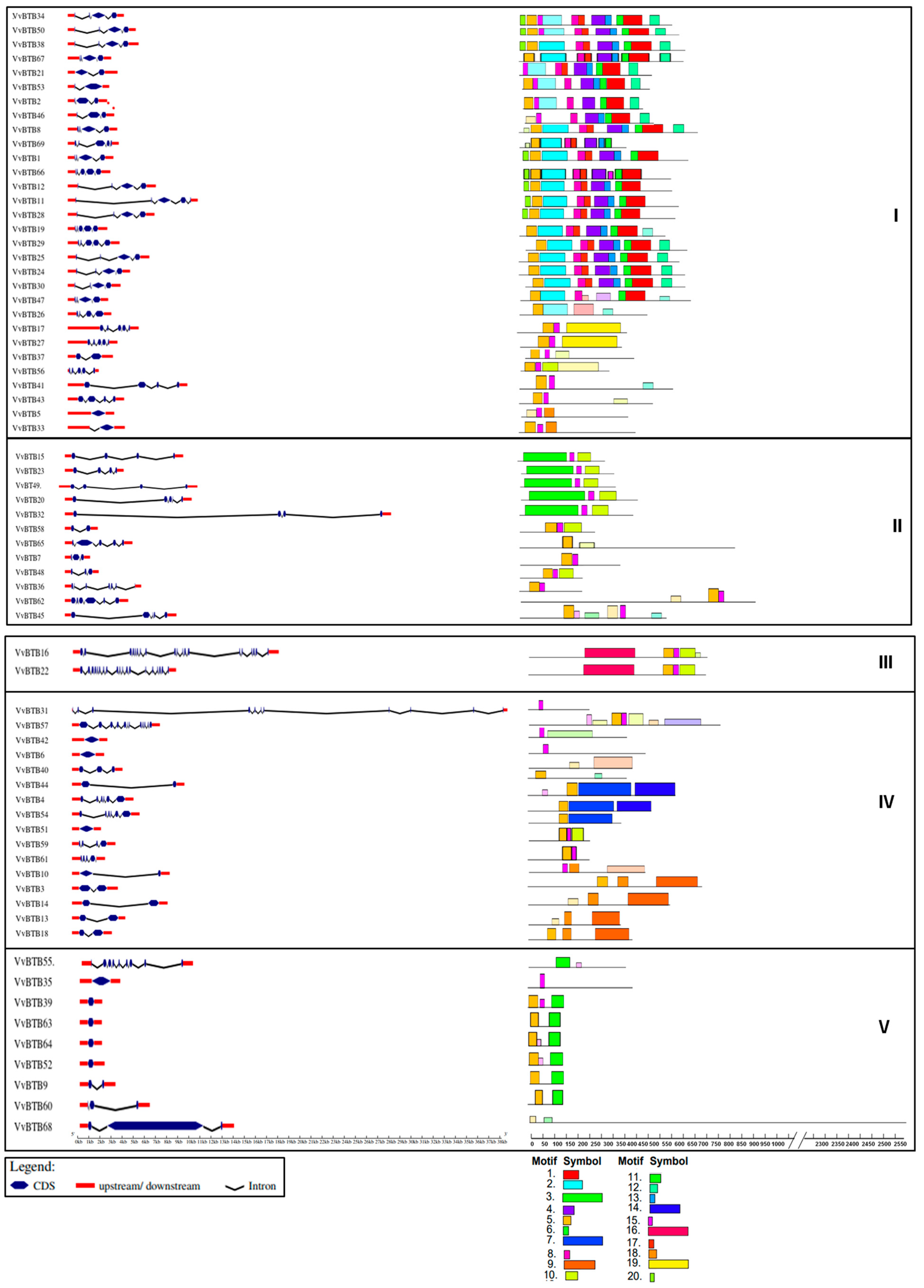 Agriculture 13 00252 g003